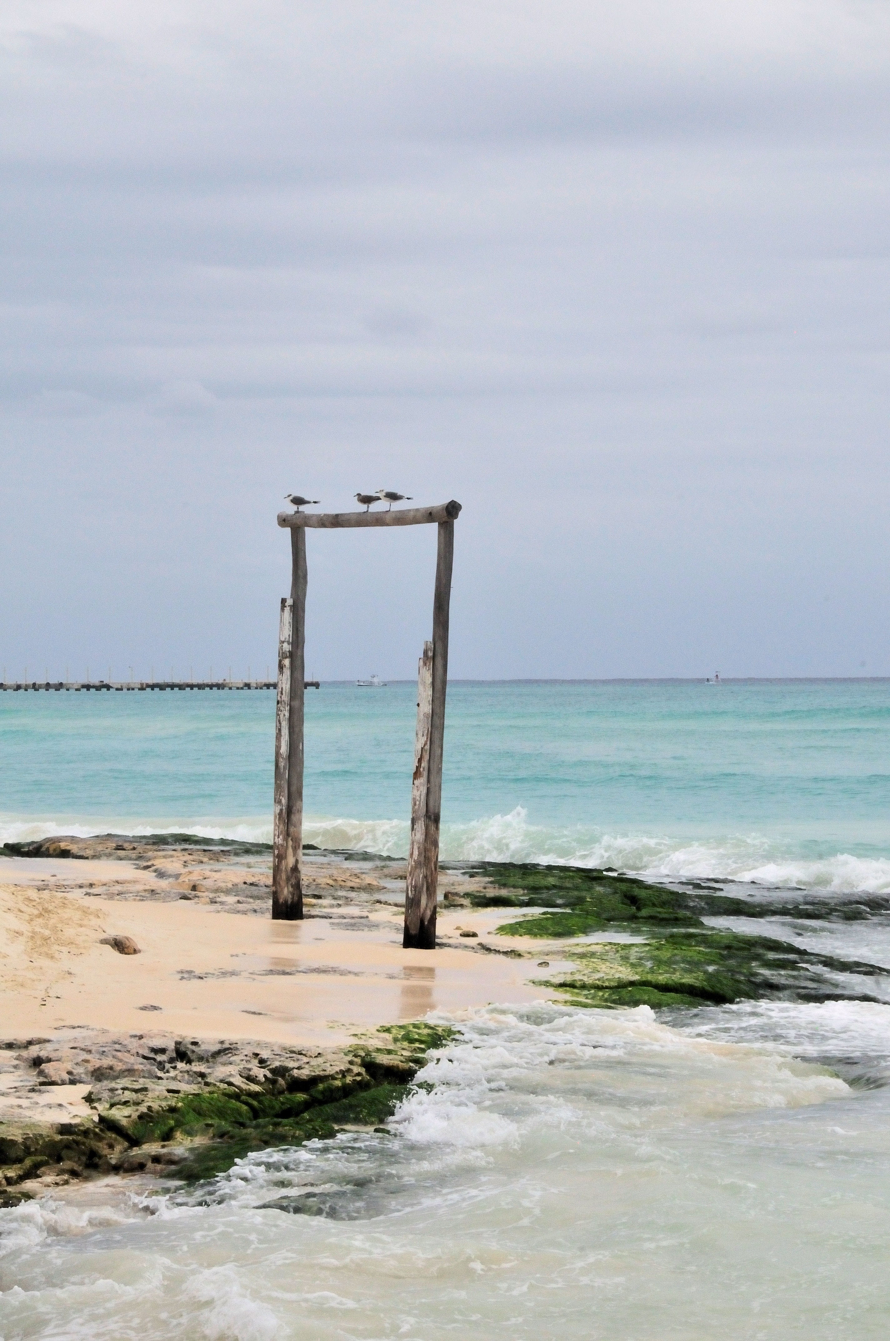 non-urban scene, horizon, sea, Ocean, summer, sand, tranquility, tropical, outdoors, Water, playa del carmen, no people, 4K, sport, beauty in nature, horizon over water, Phone HD Wallpaper