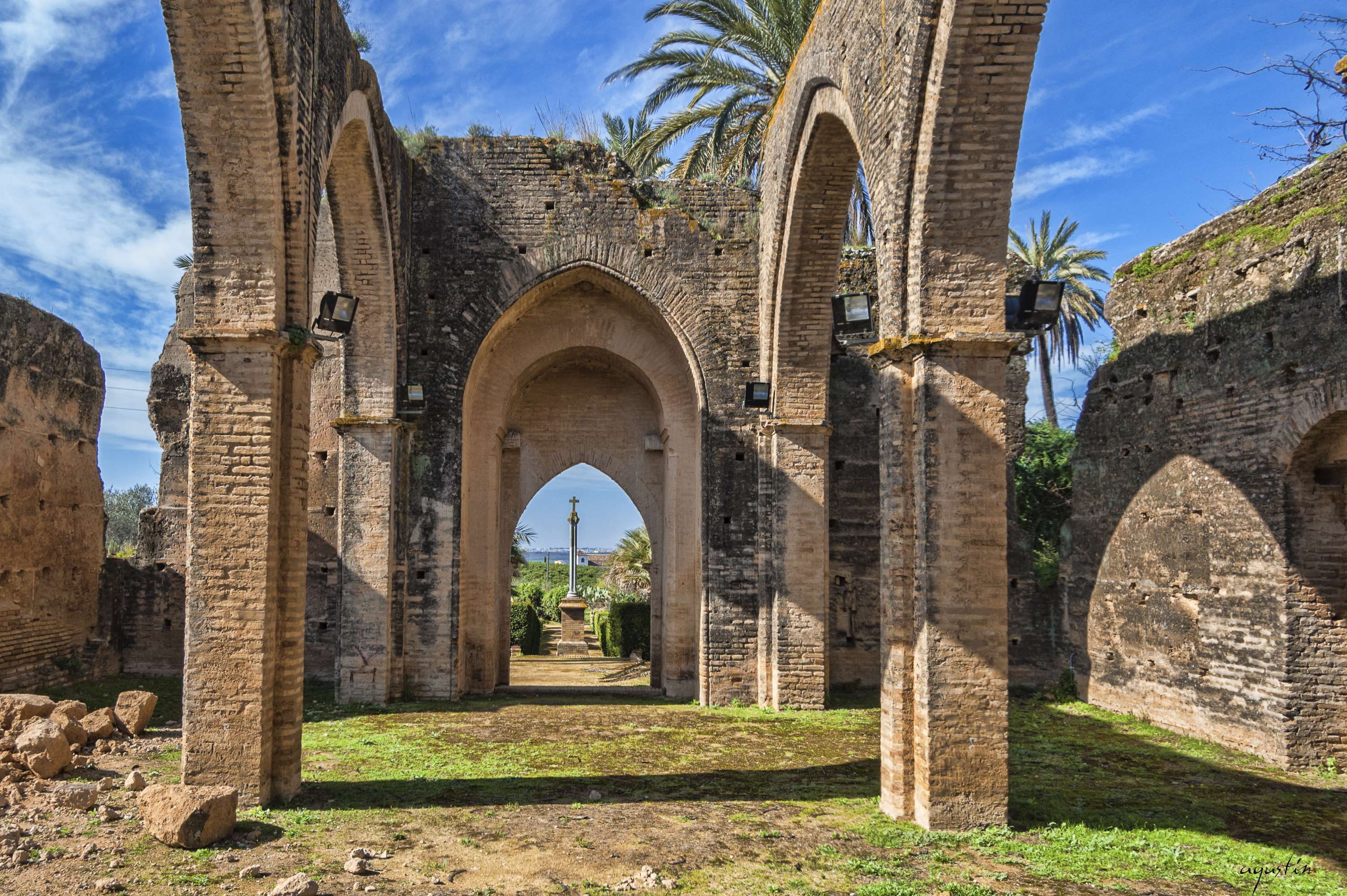 nature, tree, ruined, arch, history, the past, stone wall, 2K, architectural column, sunlight, travel destinations, plant, day, building, outdoors, built structure, HD Wallpaper
