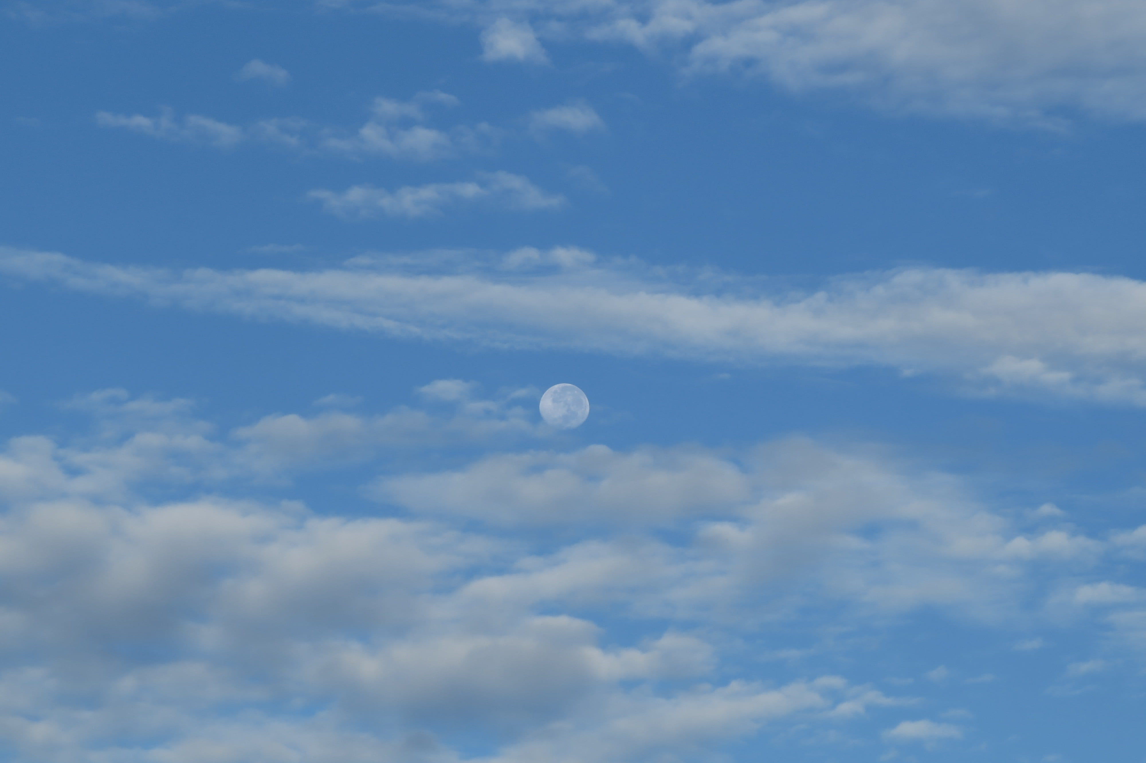 blue, zoom, outdoors, half moon, space, astronomy, trees, planets, sky, heaven, day, circle, rua alberto de oliveira maia, meditation, nature, HD Wallpaper