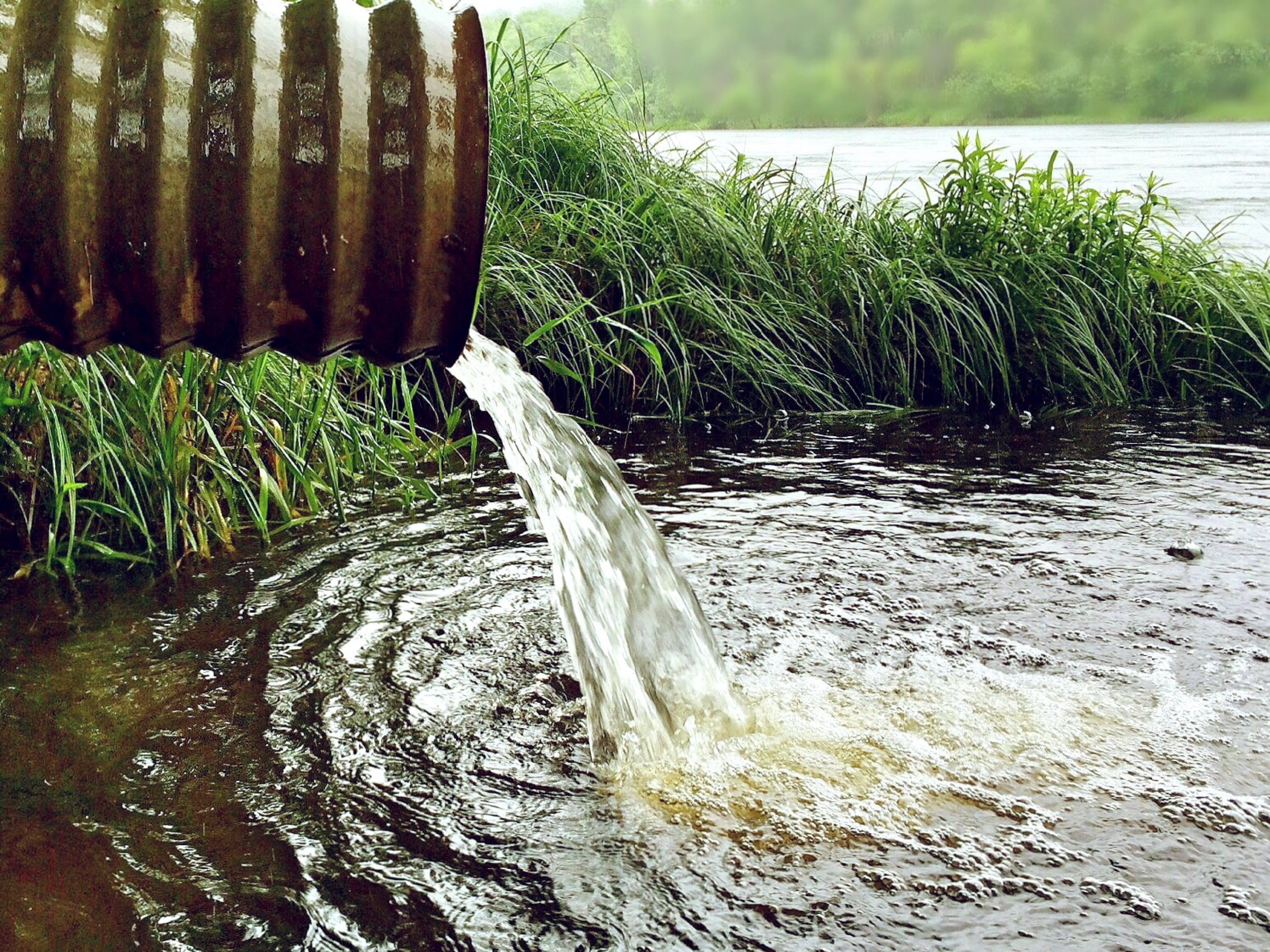 water, plant, 2K, day, grass, green color, outdoors, rainwater, motion, tranquility, close-up, flowing, environment, flowing water, splashing, purity, HD Wallpaper