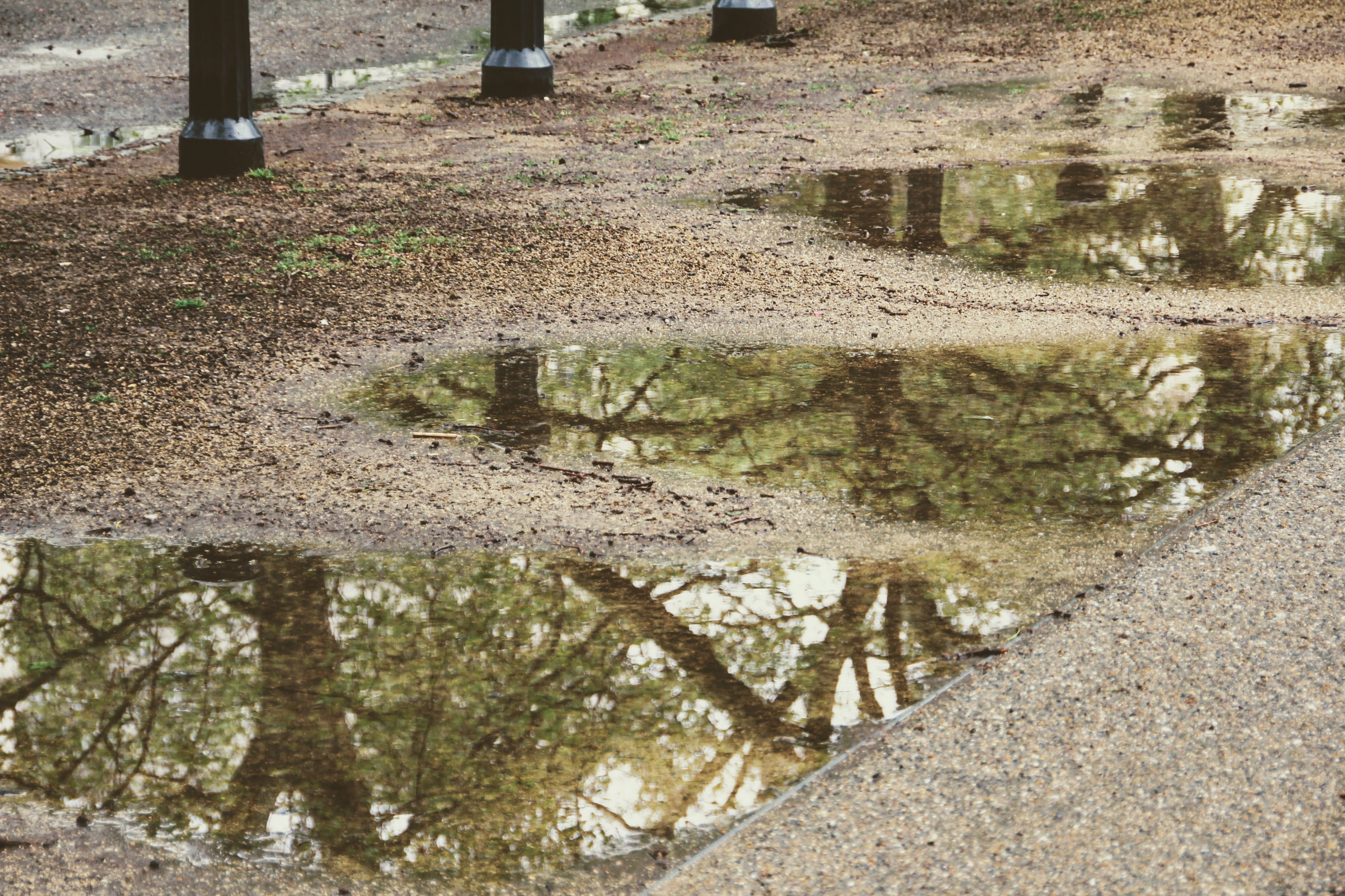 outdoors, reflections, mud, puddle, gray, land, mirroring, day, lake, sunlight, high angle view, 4K, water, rain, nature, plant, tree, tranquility, soil, HD Wallpaper