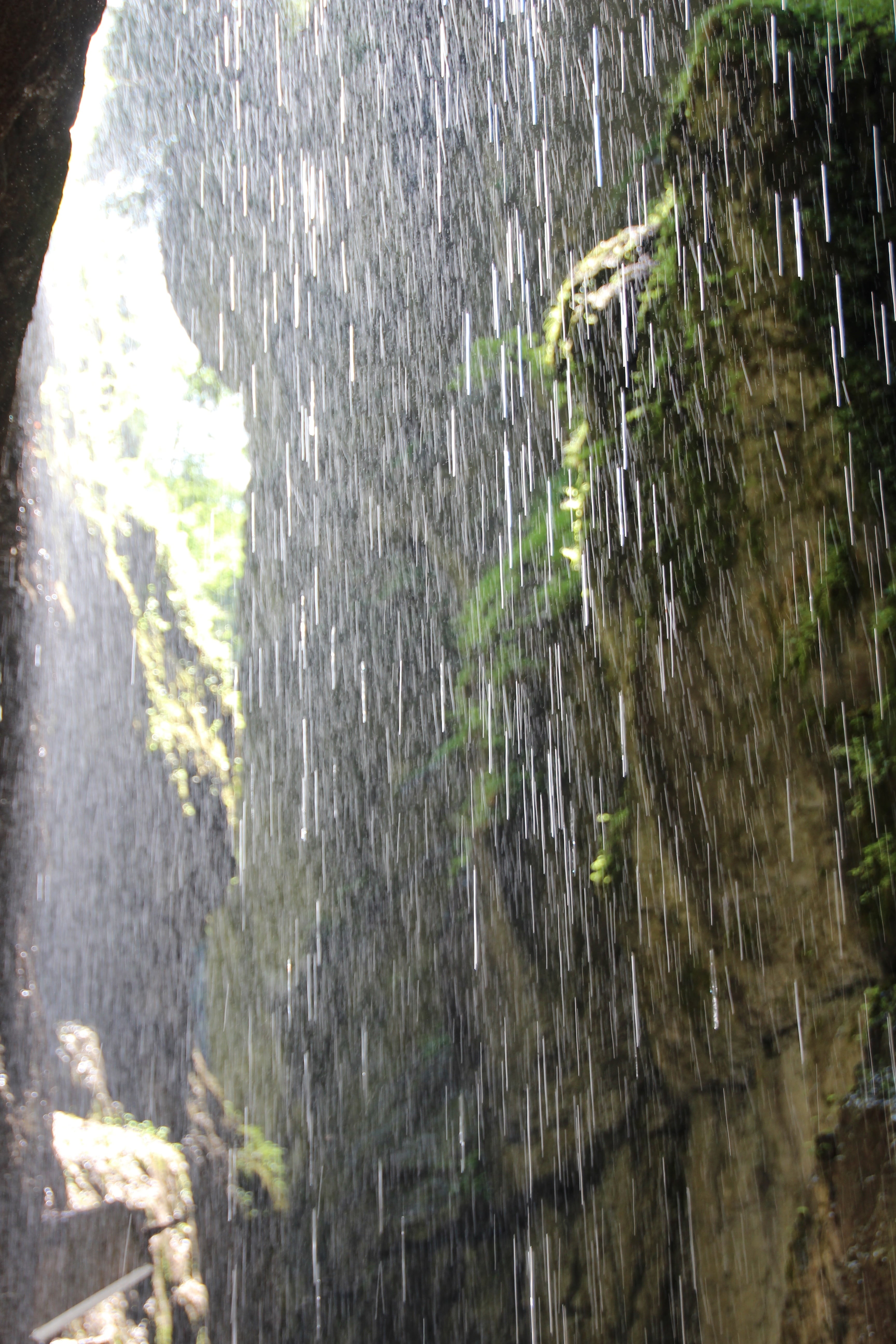 flowing water, beauty in nature, flowing, motion, splashing, nature, wet, rainwater, plant, forest, waterfall, rain, running water, 5K, no people, water, Phone HD Wallpaper