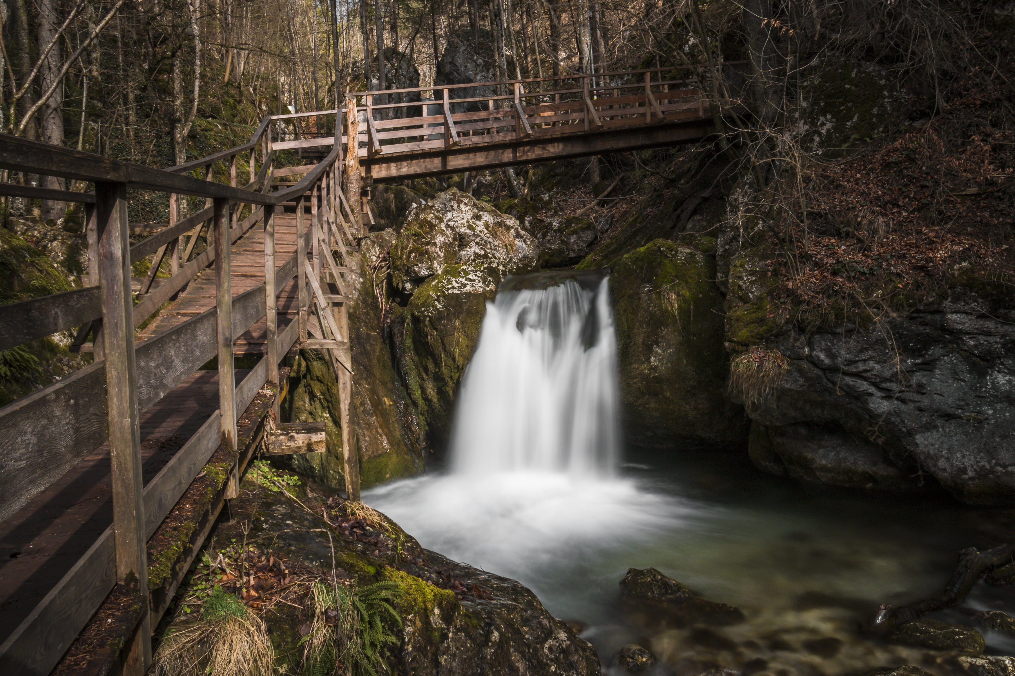daytime, charming, mountain stream, wooden, tree, long exposure, land, time, outdoors, waters, power in nature, 2K, bach, nature, waterfall, environment, HD Wallpaper