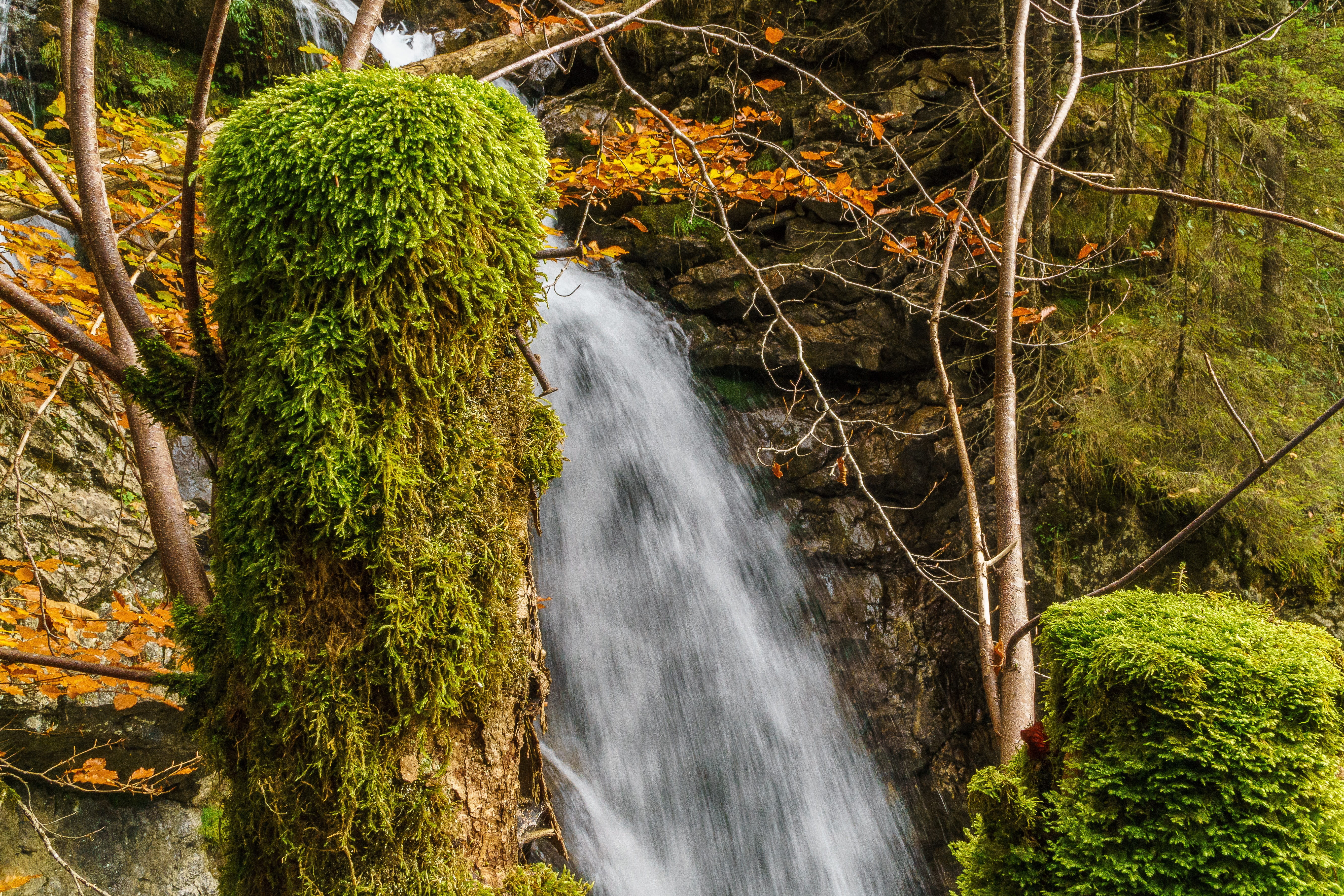 beauty in nature, day, mountain water, motion, flowing, landscape water, atmosphere, water, gorge, creek, steep, growth, trees, mood, bach, outdoors, green, HD Wallpaper