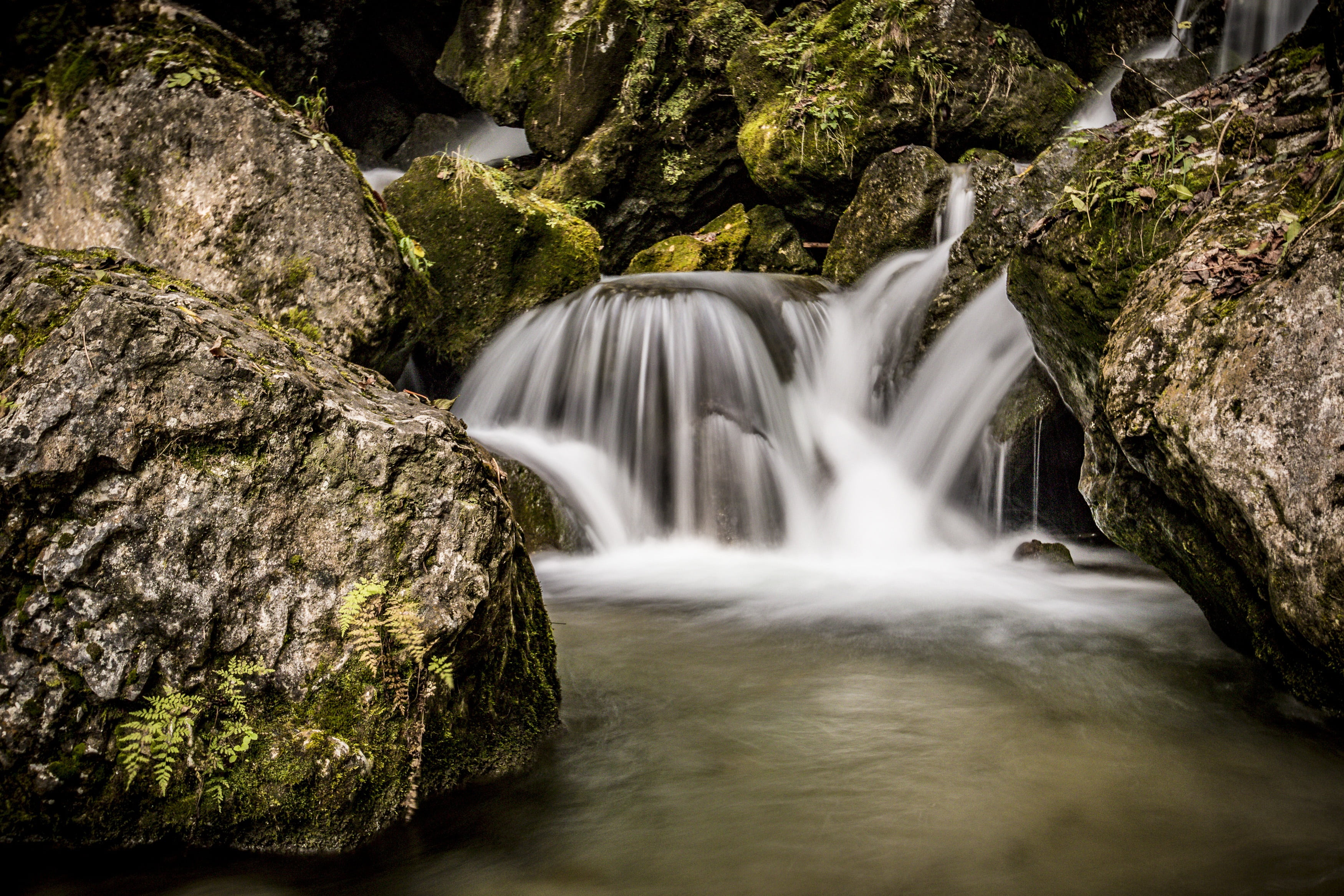 beauty In Nature, flowing, forest, bach, solid, torrent, bubble, blurred motion, murmur, motion, beautiful, freshness, scenics, water running, mountain stream, HD Wallpaper