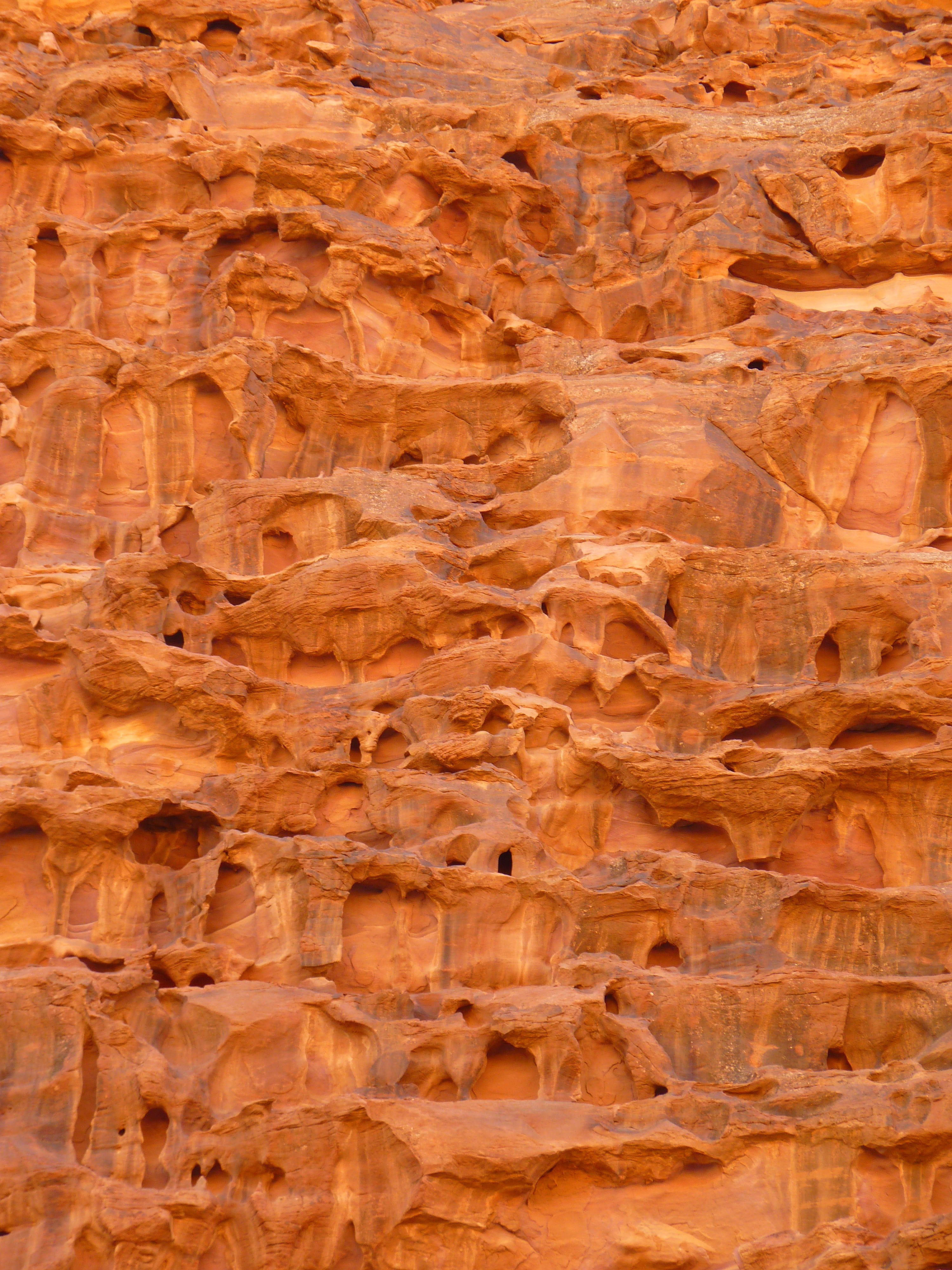 rock formation, ancient, leaching, history, wadi rum, sandstone, rock, wood - material, holiday, no people, pattern, wood, jordan, rock - object, close-up, Phone HD Wallpaper