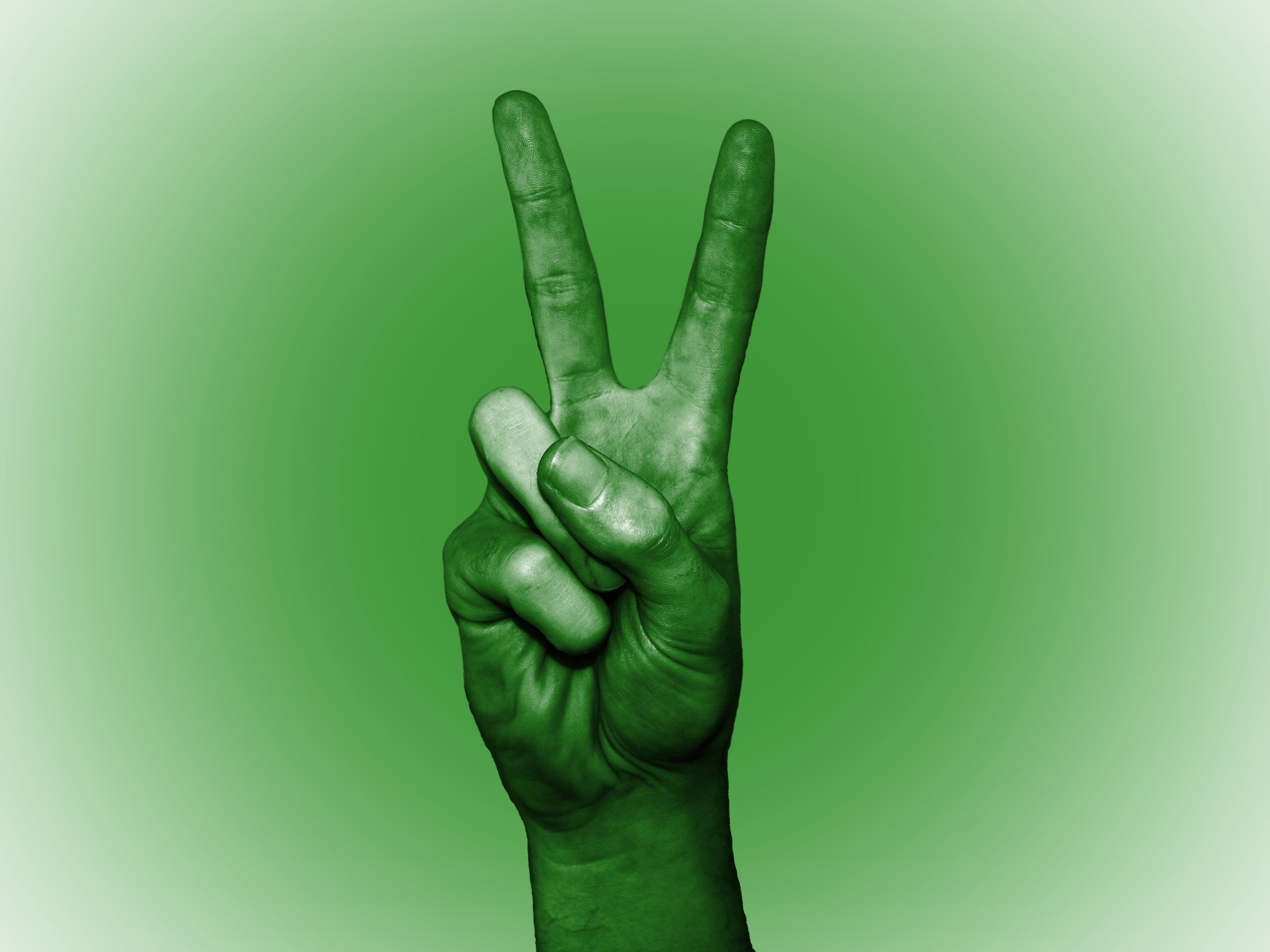 studio shot, libya, unrecognizable person, hand sign, human hand, banner, arab, finger, communication, human finger, close-up, one person, men, colored background, HD Wallpaper