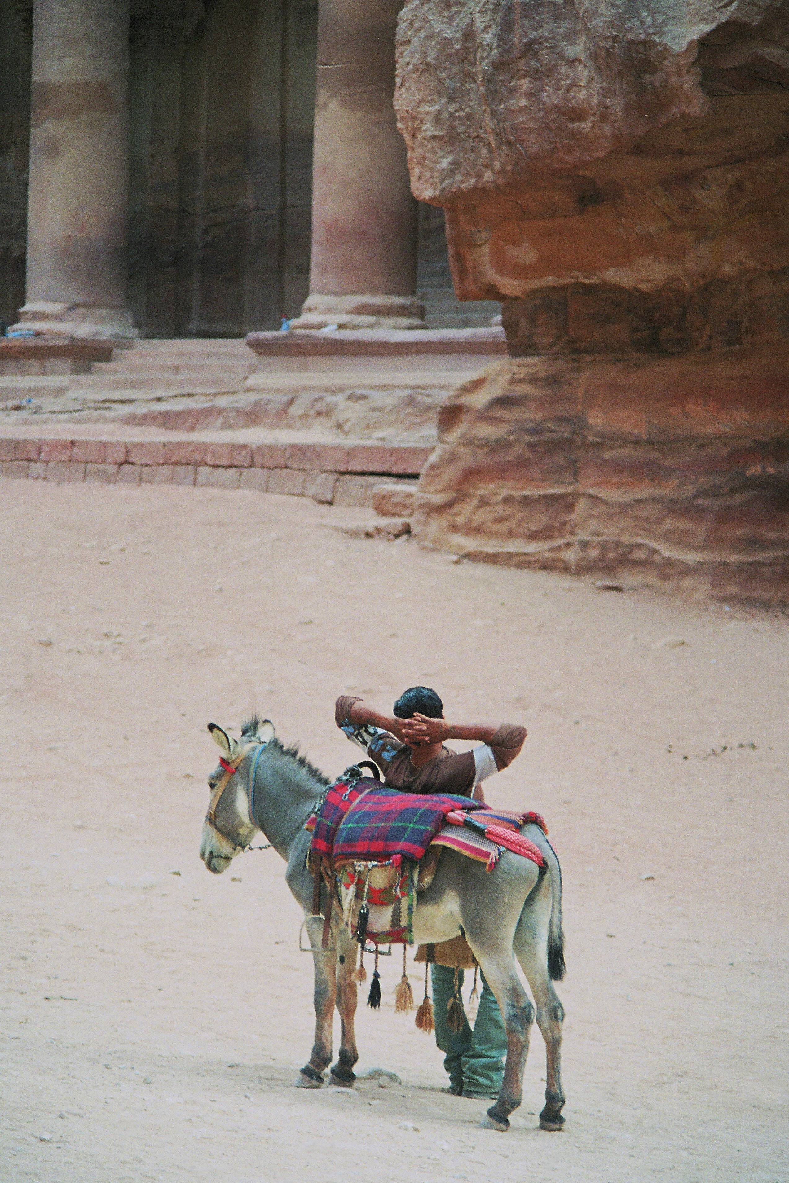 riding, travel, donkey, gorge, unesco, holiday, petra, people, day, domestic animals, break, the red, canyon, two animals, nabataeans, temple, indiana jones, Phone HD Wallpaper