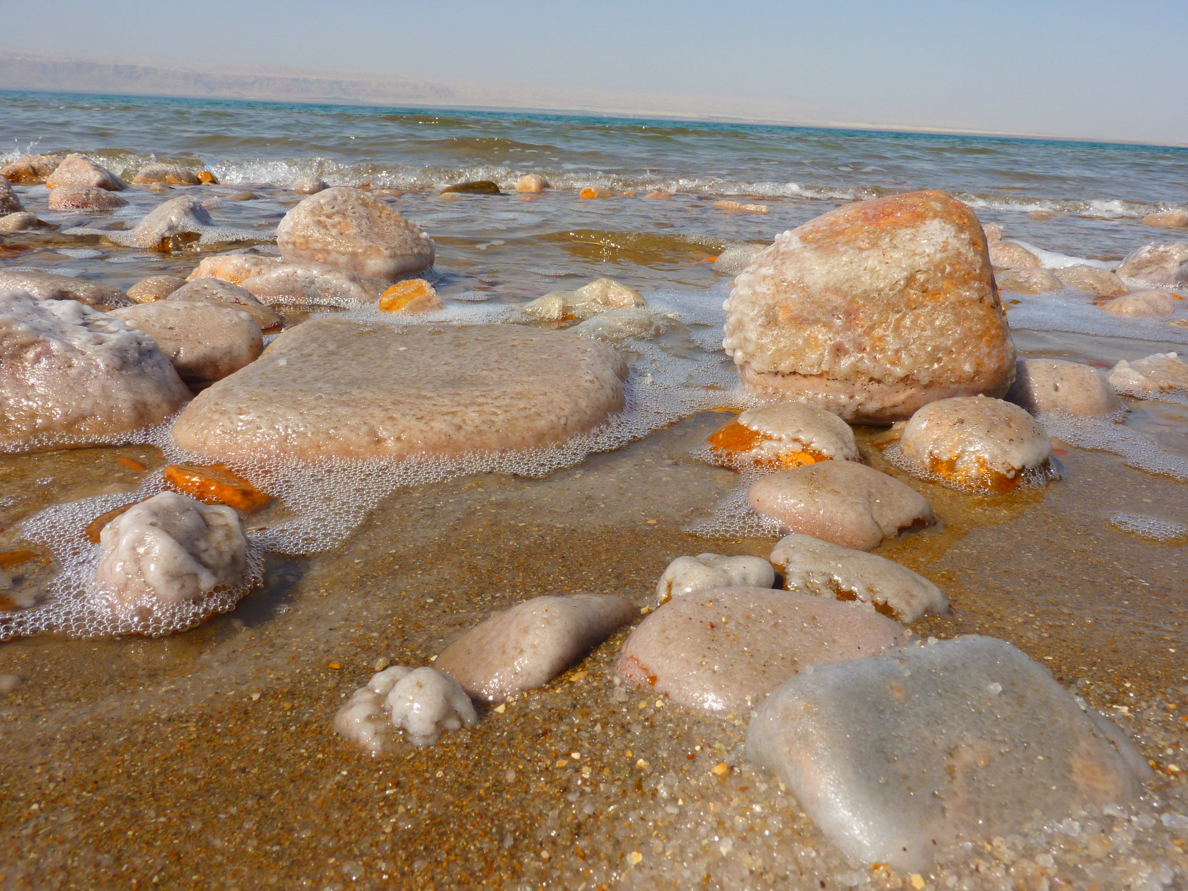 rocks, Middle East, beauty in nature, animals in the wild, motion, tranquility, sea, daytime, salt crust, beach, salt, scenics - nature, nature, sea life, HD Wallpaper