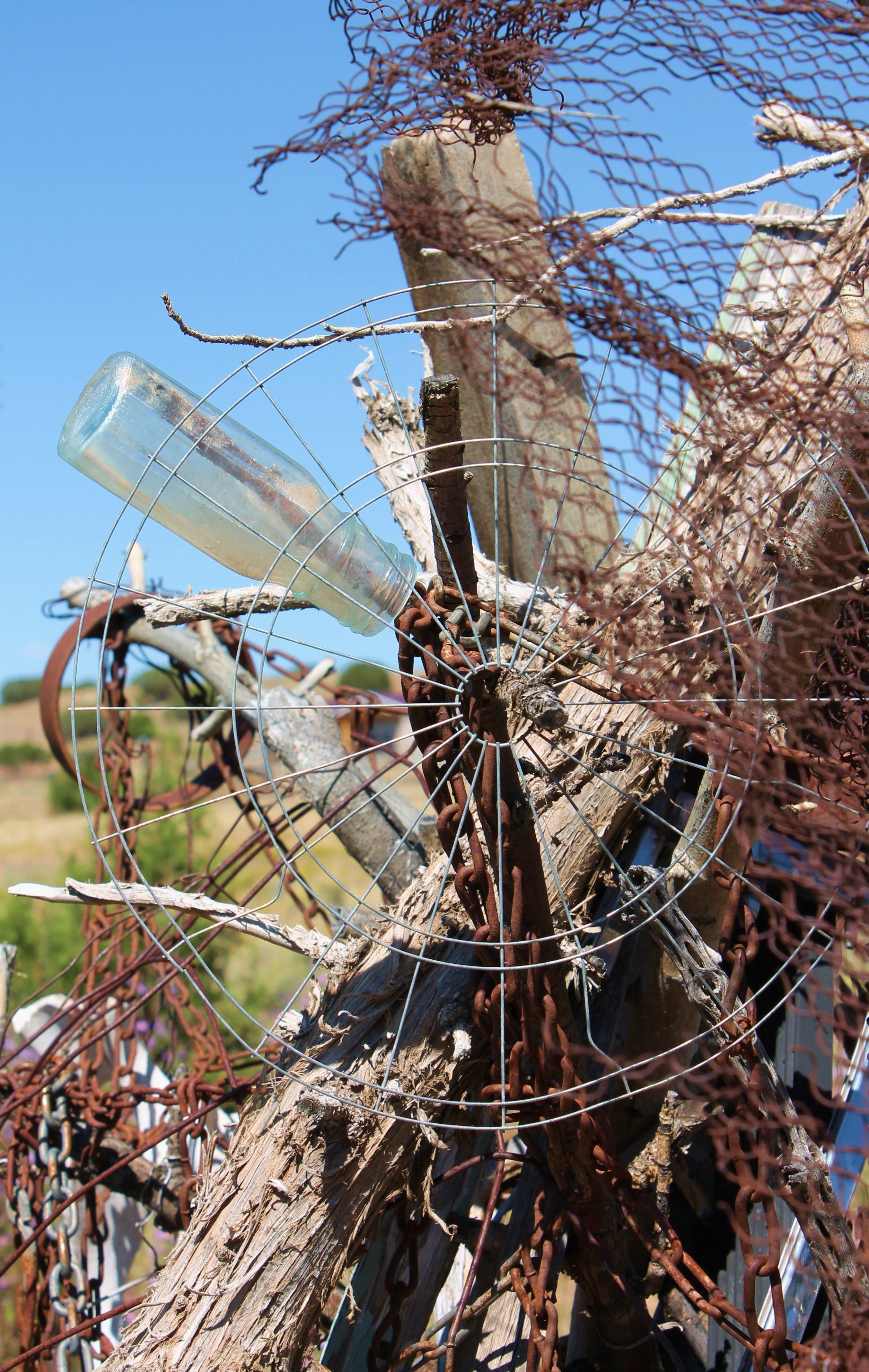 tree, new mexico, outdoors, garden art, wheel, day, land, focus on foreground, clear sky, growth, circular, plant, southwestern, potential, bare tree, repurpose, Phone HD Wallpaper