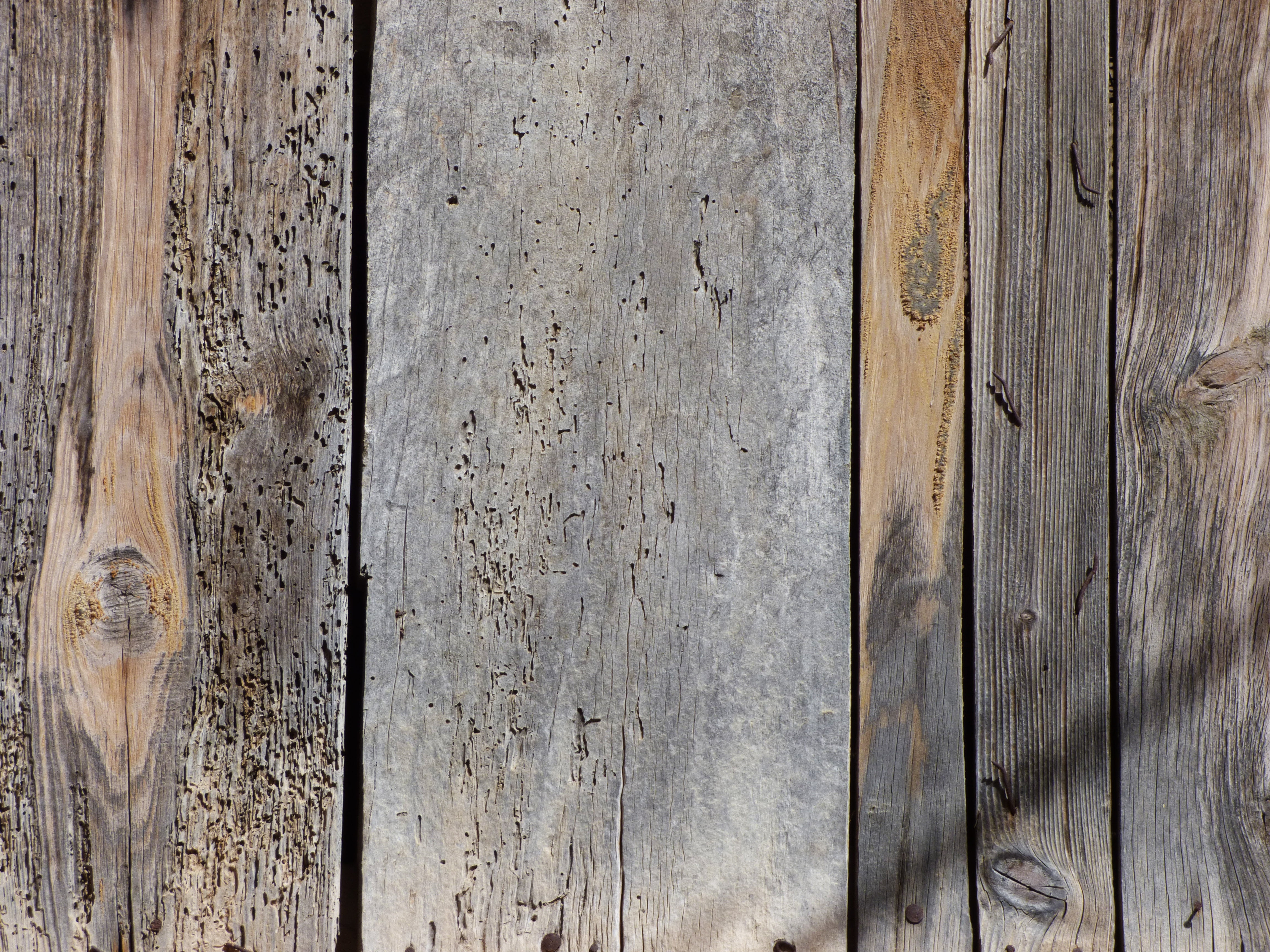 wall - building feature, textured effect, outdoors, full frame, no people, rotten, weathered, planks, backgrounds, plank, material, surface level, close-up, HD Wallpaper