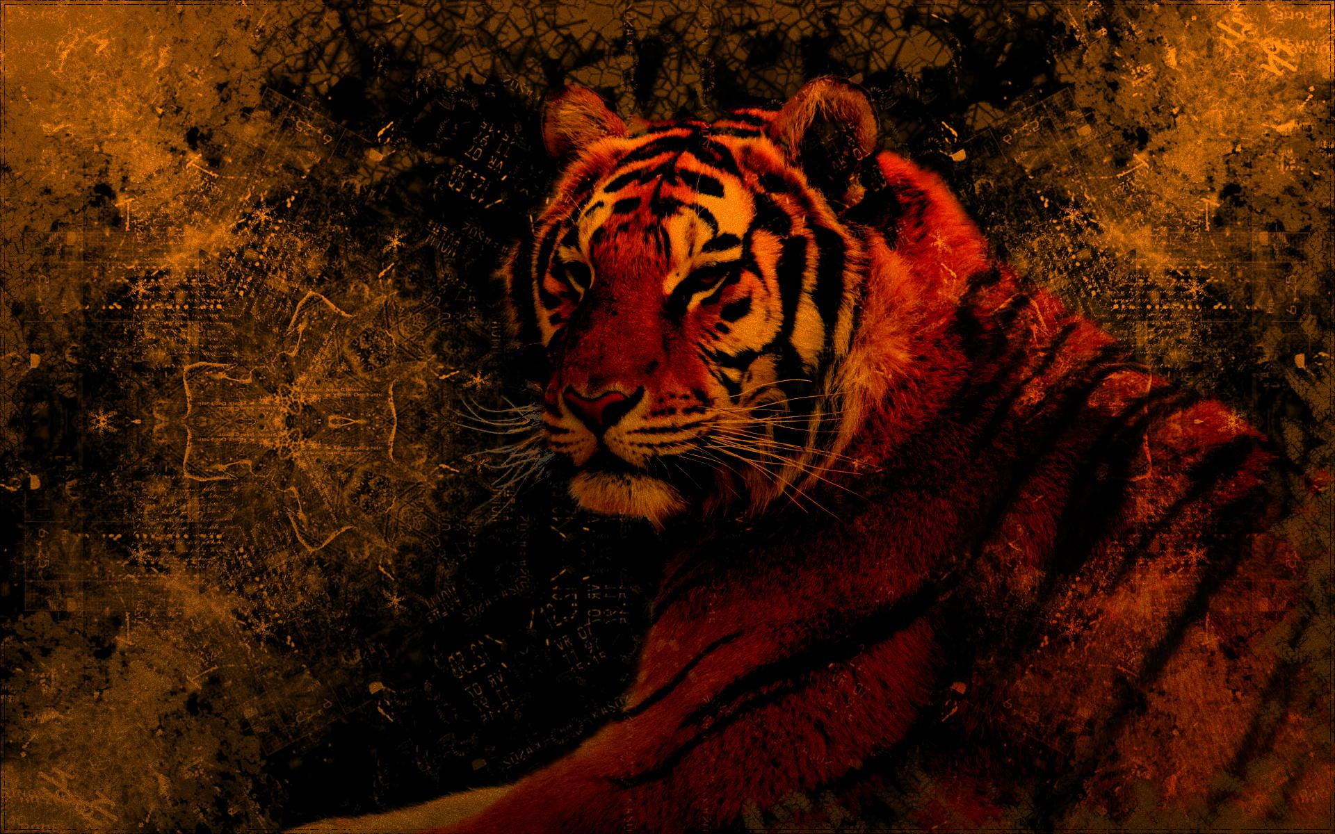grunge, wild, 1080P, tiger, animals, animal, grungy, beautiful, HD Wallpaper