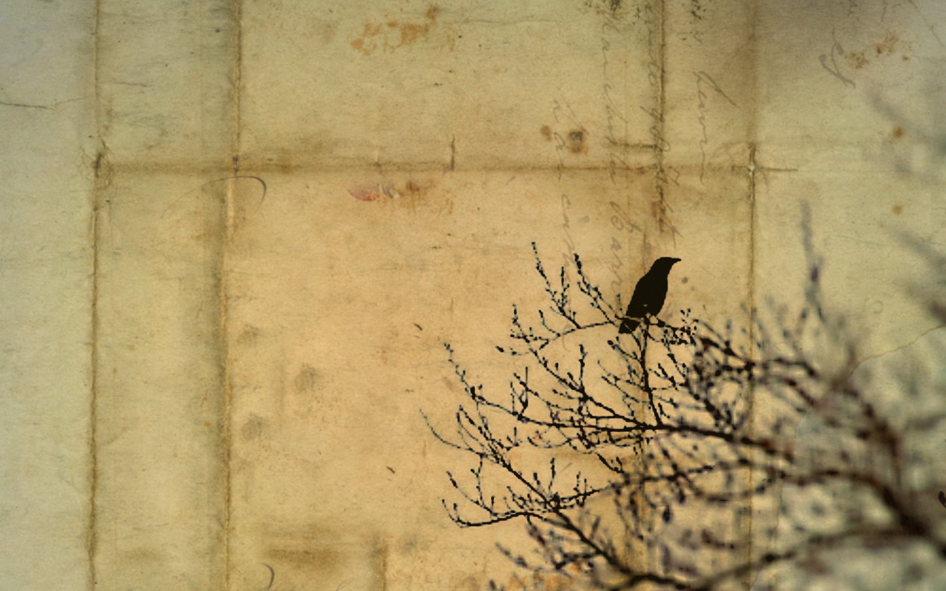 branch, plant, art, built structure, textured Effect, 1080P, bare tree, dirty, obsolete, nature, animal, one animal, weathered, brown, perching, stained, HD Wallpaper