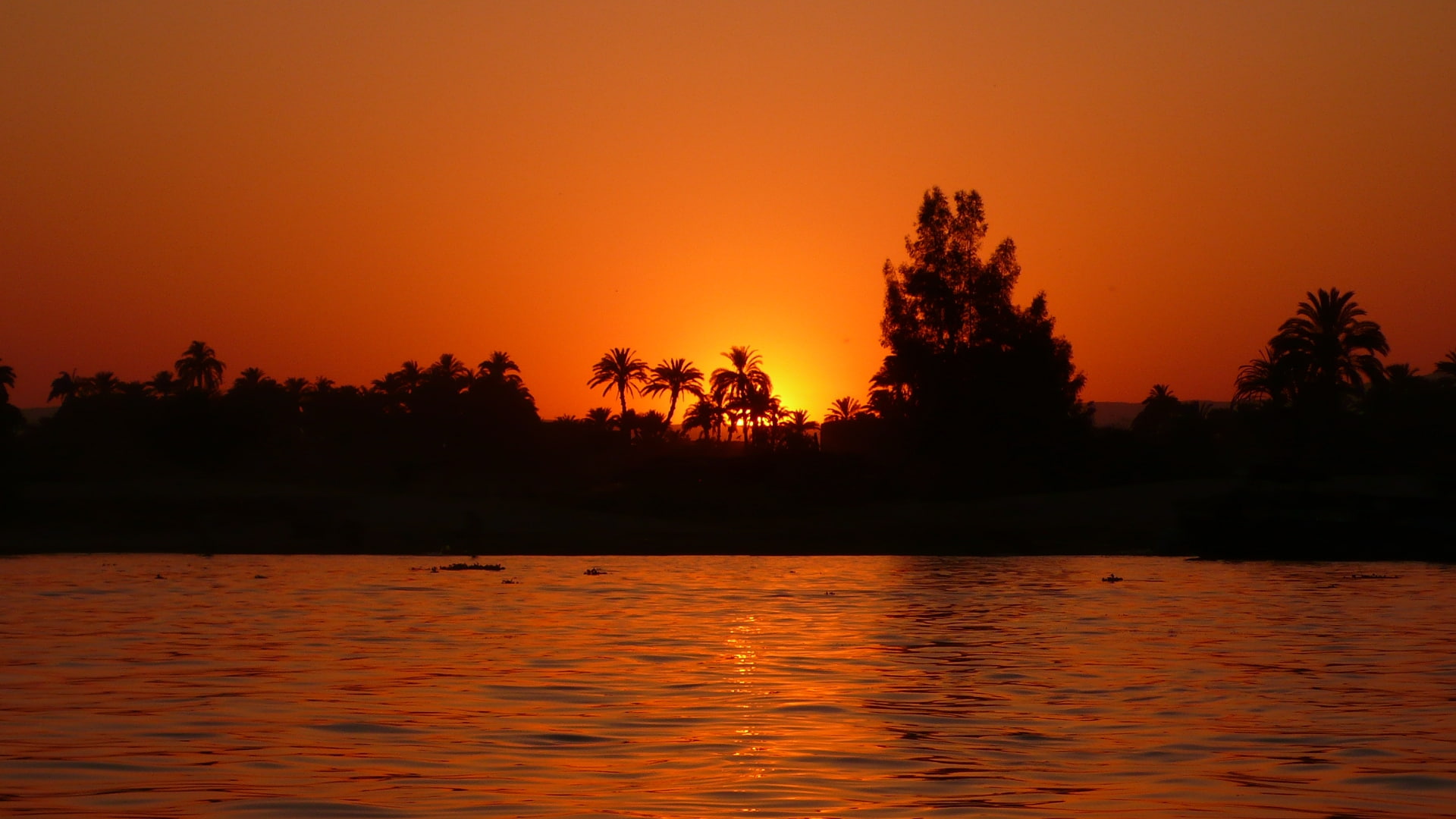 1080P, nature, sunset, rivers, hd, sailing, nile, sun, sunseth, art, HD Wallpaper