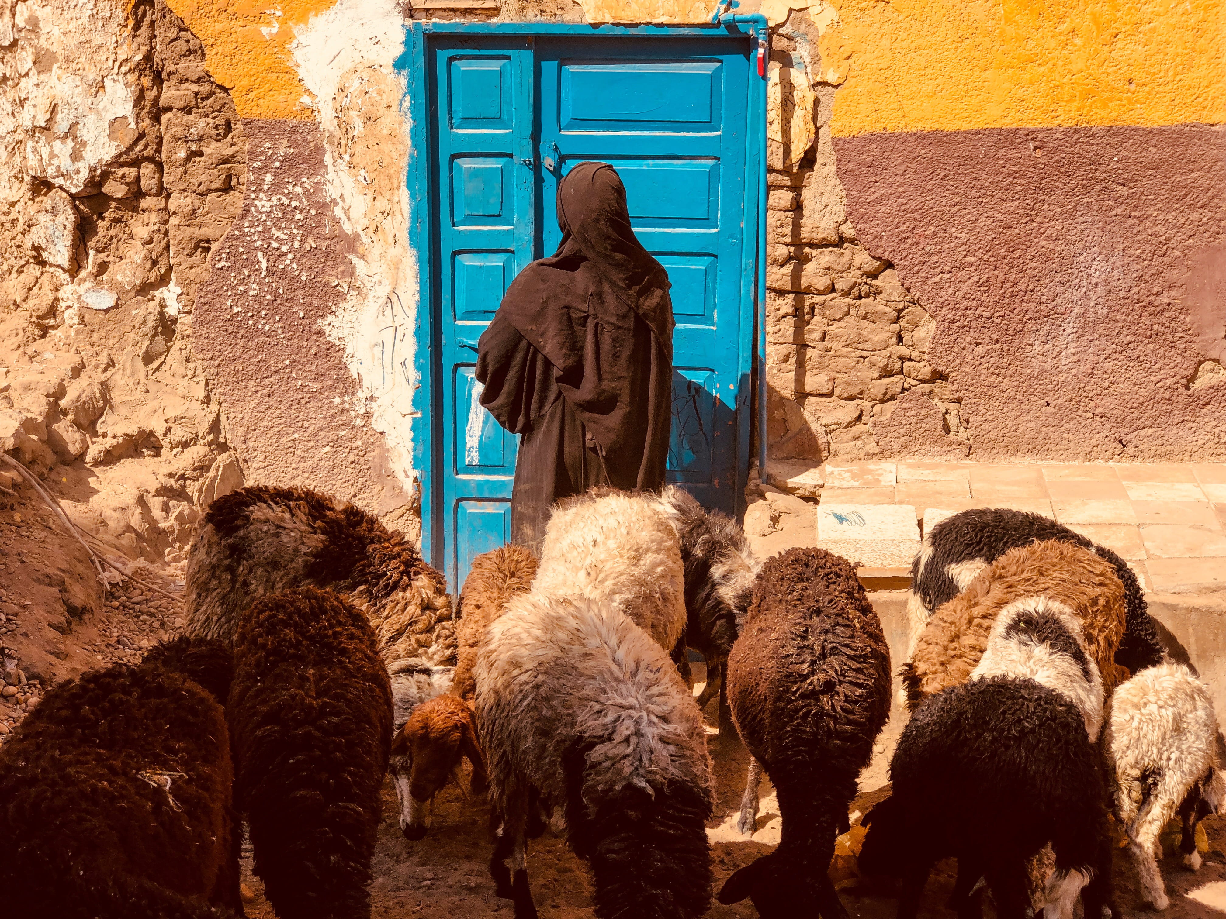 statue, building exterior, home, human representation, no people, sunlight, 4K, vertebrate, door, architecture, rear view, woman, aswan, egypt, representation, HD Wallpaper