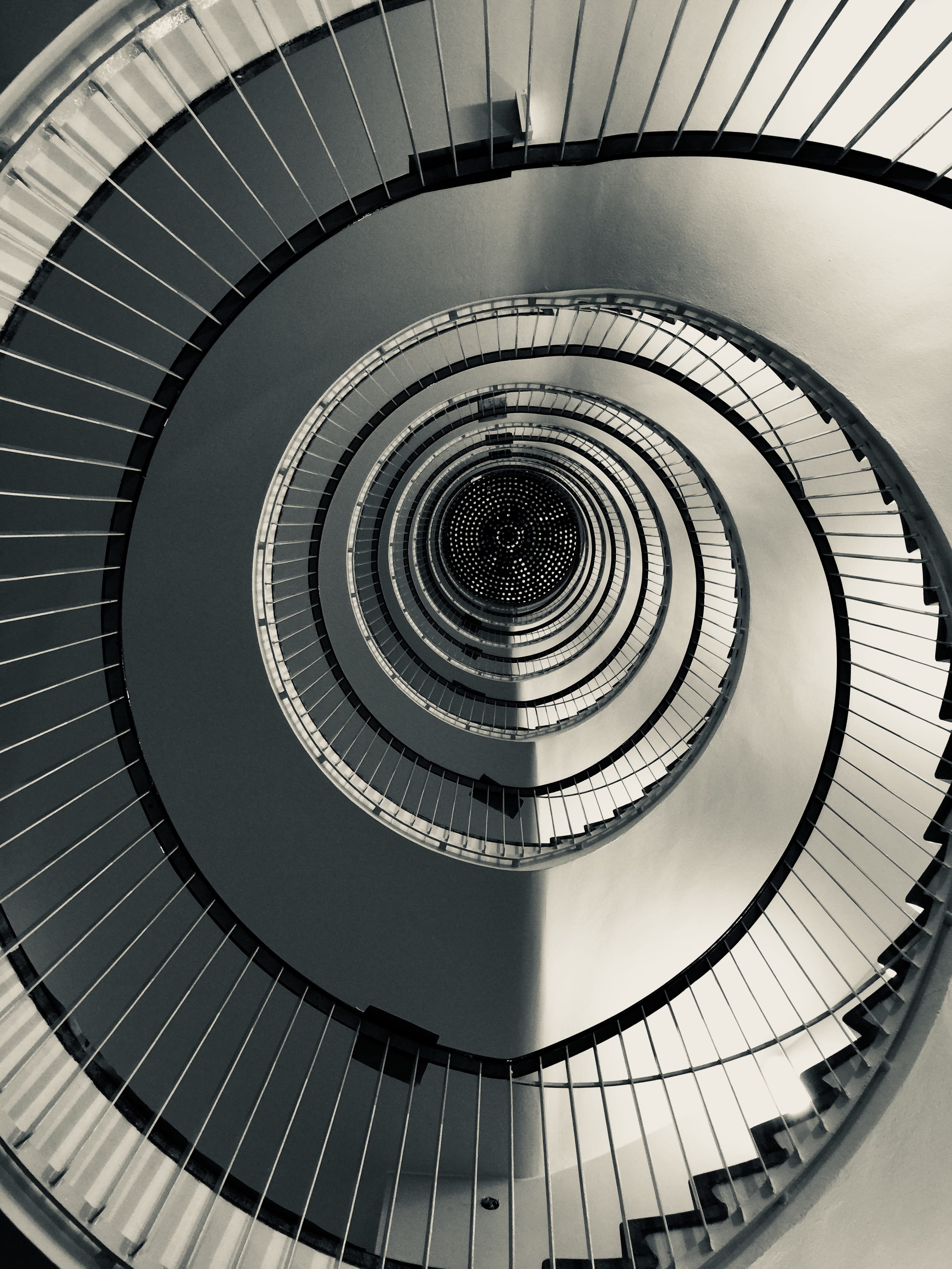 diminishing perspective, blueberry, salad, shop, metal, helsinki, day, circle, carrot, low angle view, concentric, finland, pumpkin, stairs, directly below, Phone HD Wallpaper