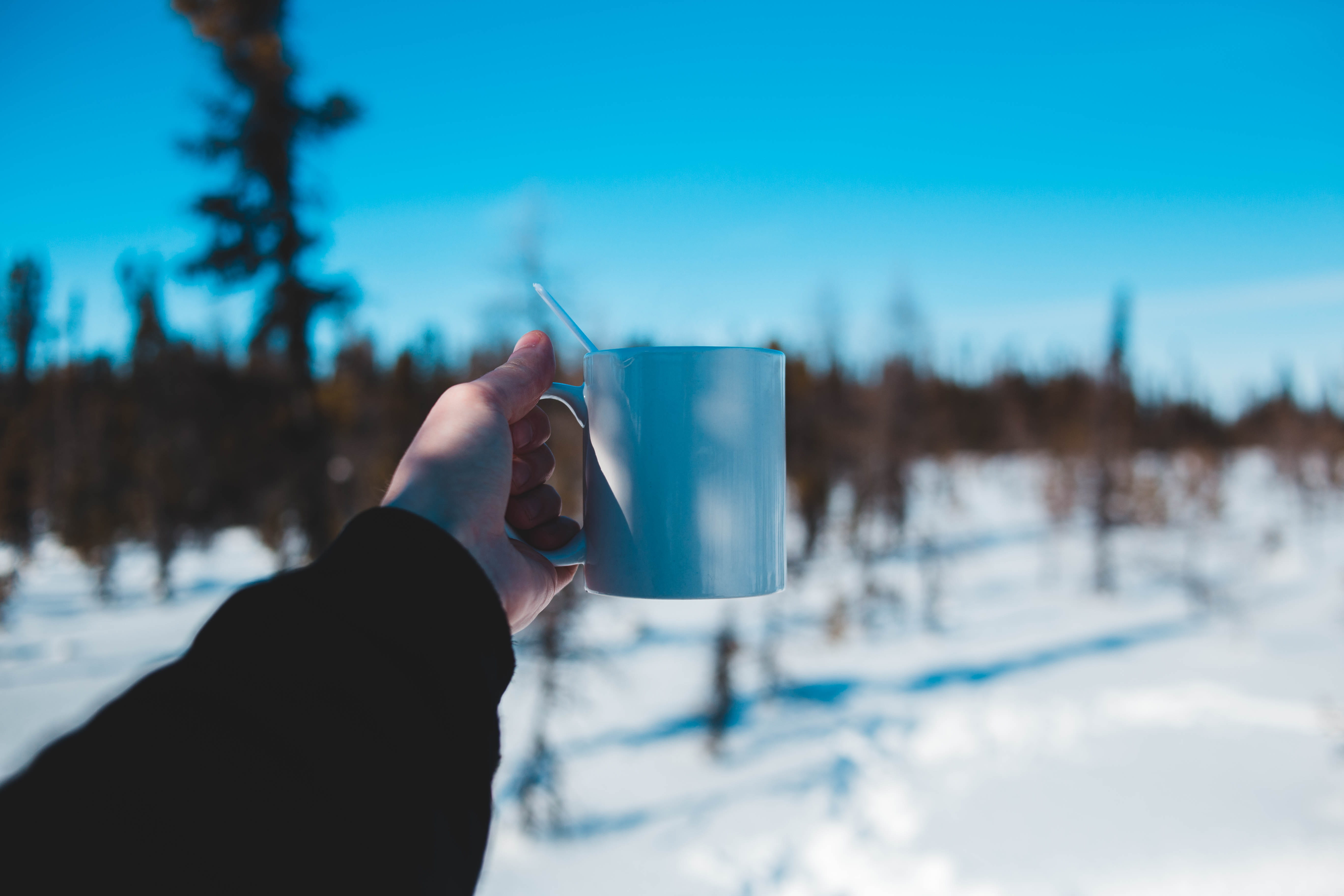 frozen, finger, drink, transportation, plant, leisure activity, hand, day, drinking, photo, photography, body part, real people, porcelain, one person, HD Wallpaper