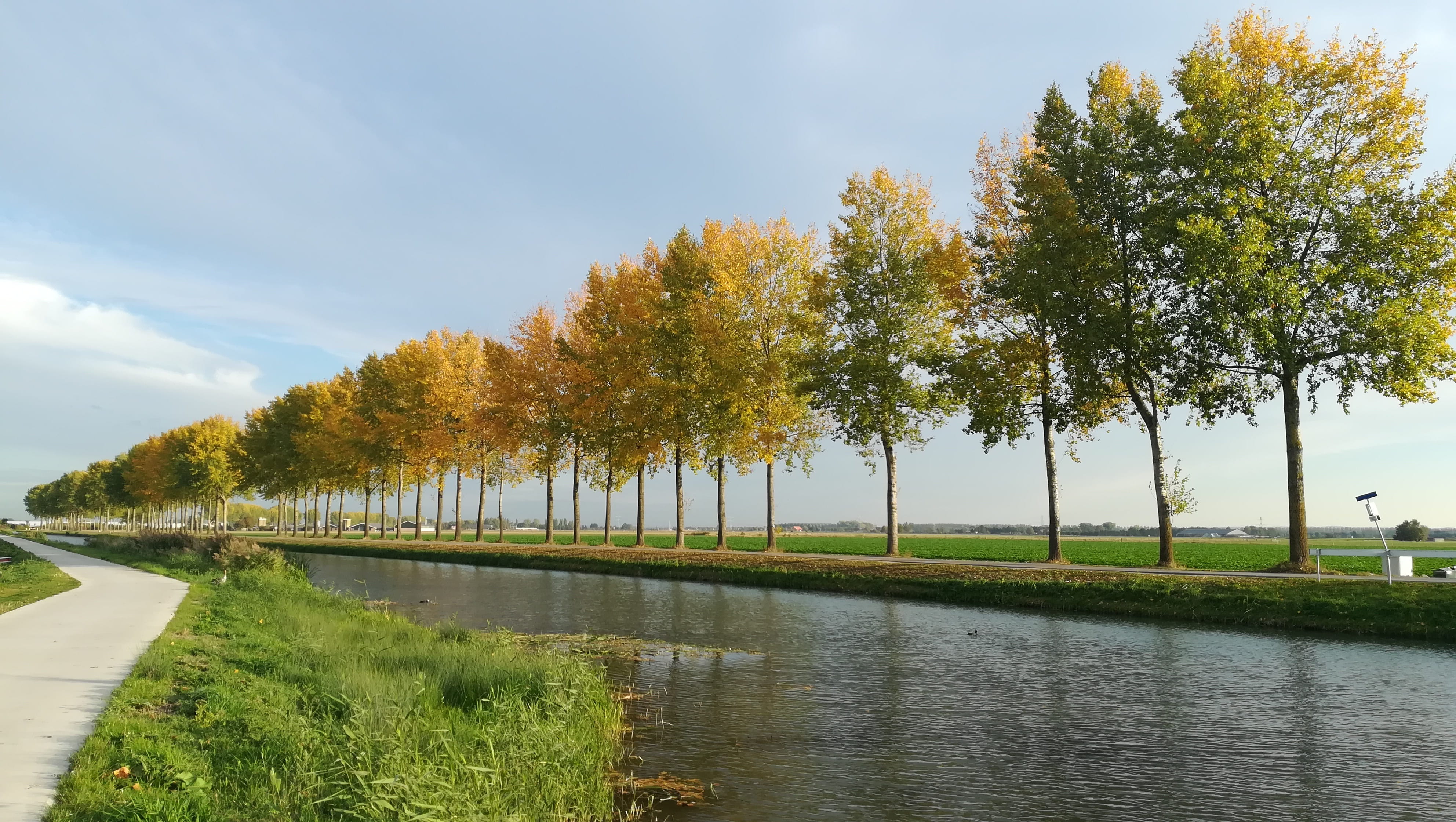 tree, nature, treelined, river, green color, 4K, netherlands, growth, water, autumn, road, sky, tranquil scene, no people, snelfietspad, the eccentric, HD Wallpaper