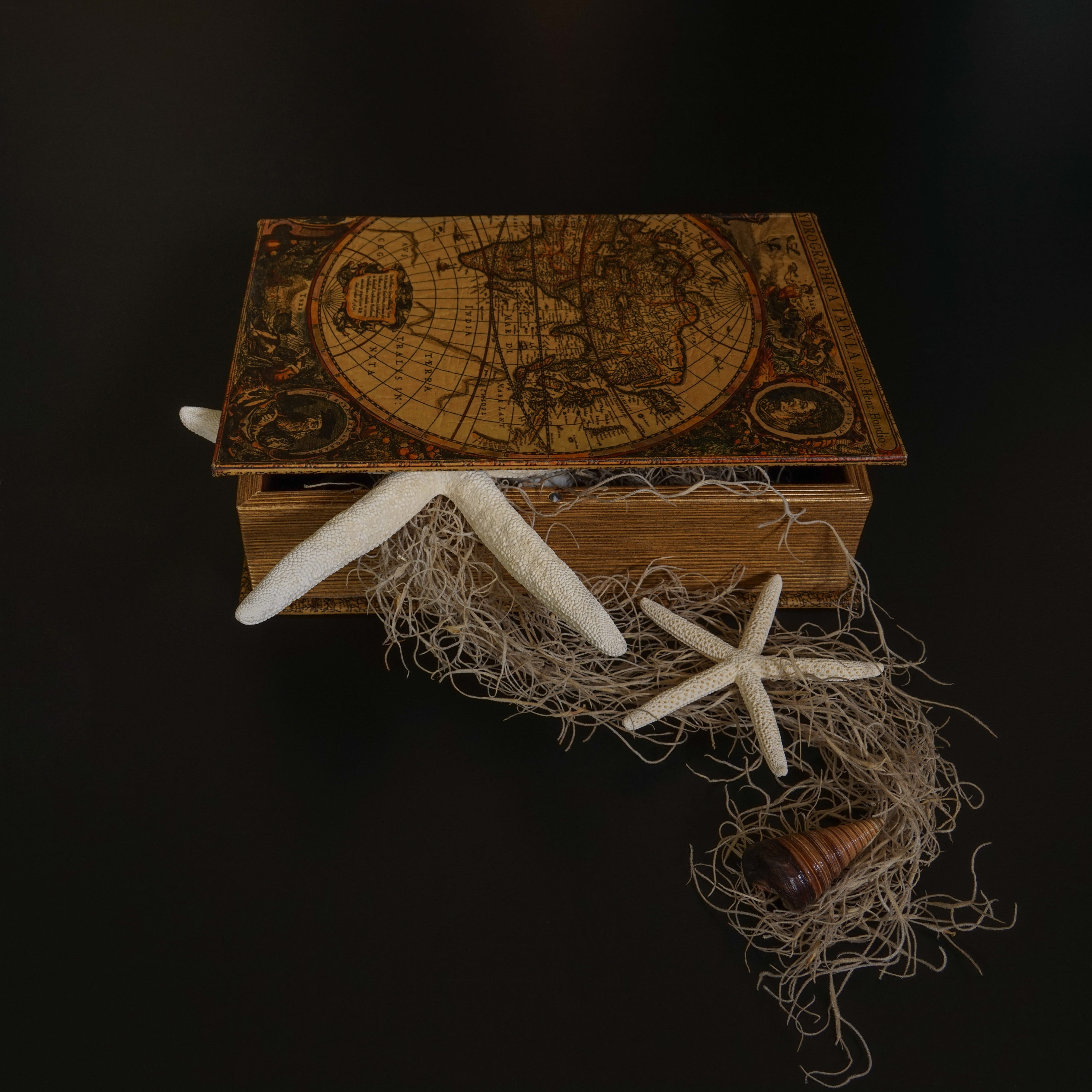studio shot, close-up, adventure, still life, sea grass, single object, pattern, indoors, copy space, shell, old, treasure chest, art and craft, craft, Phone HD Wallpaper