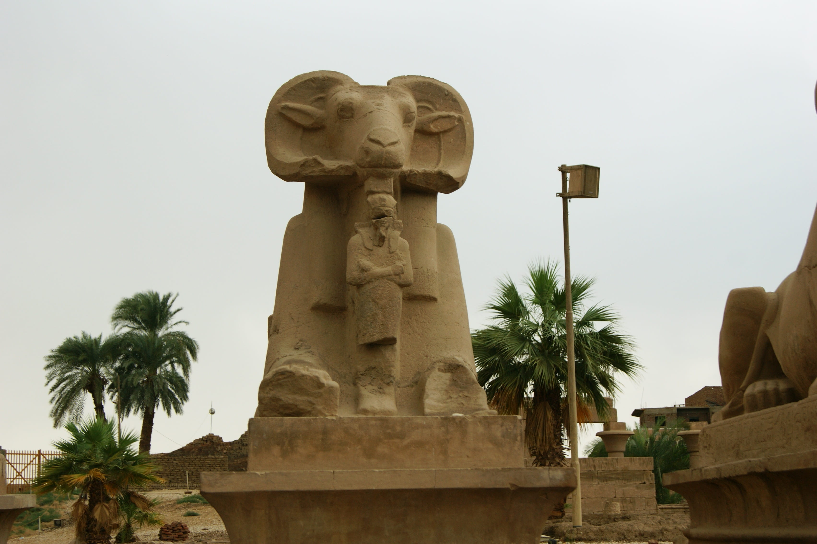 ancient civilization, nature, karnak, tropical climate, built structure, no people, plant, travel destinations, luxor, belief, palm tree, tree, statue, HD Wallpaper