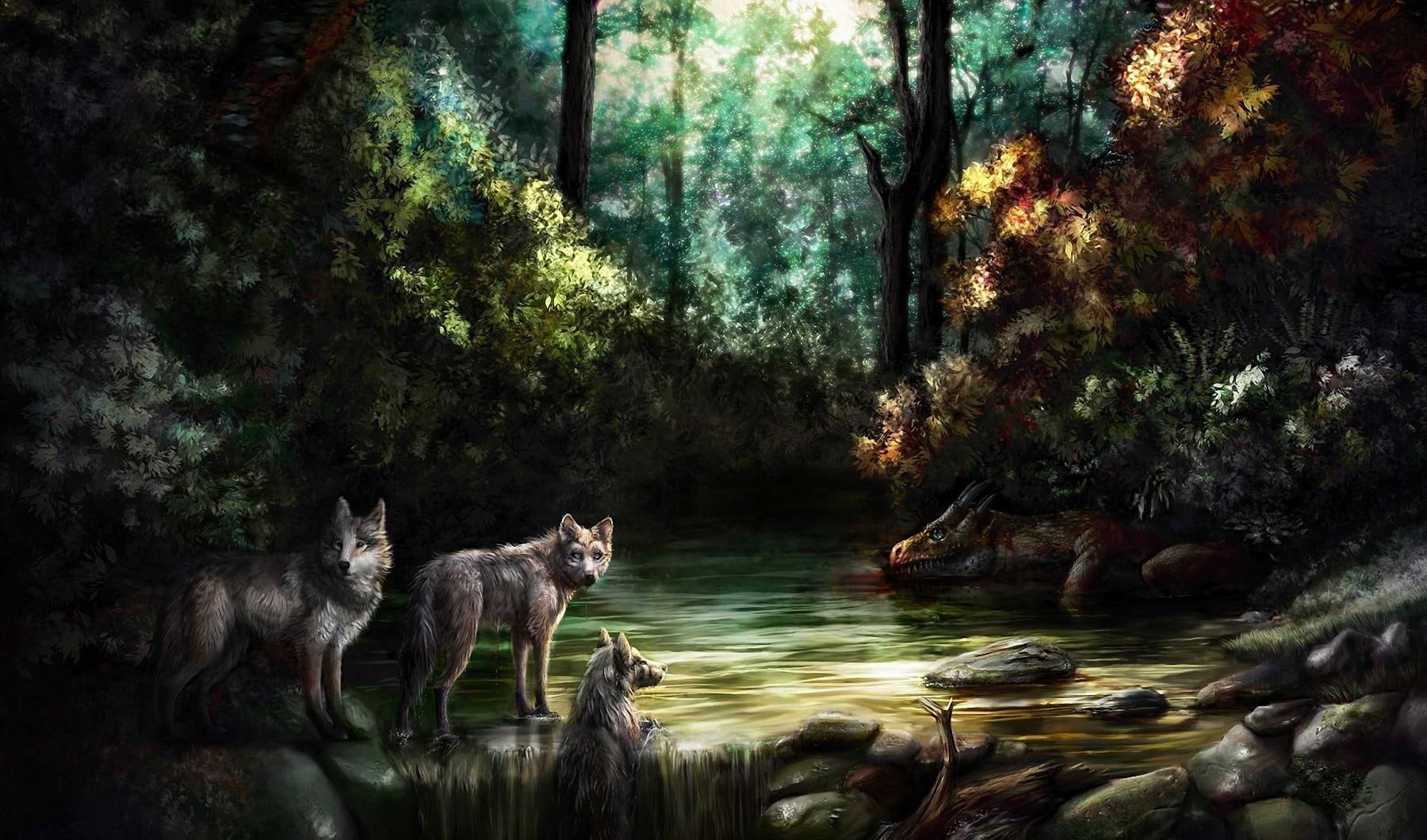 720P, dragon, waiting, jackals, HD Wallpaper