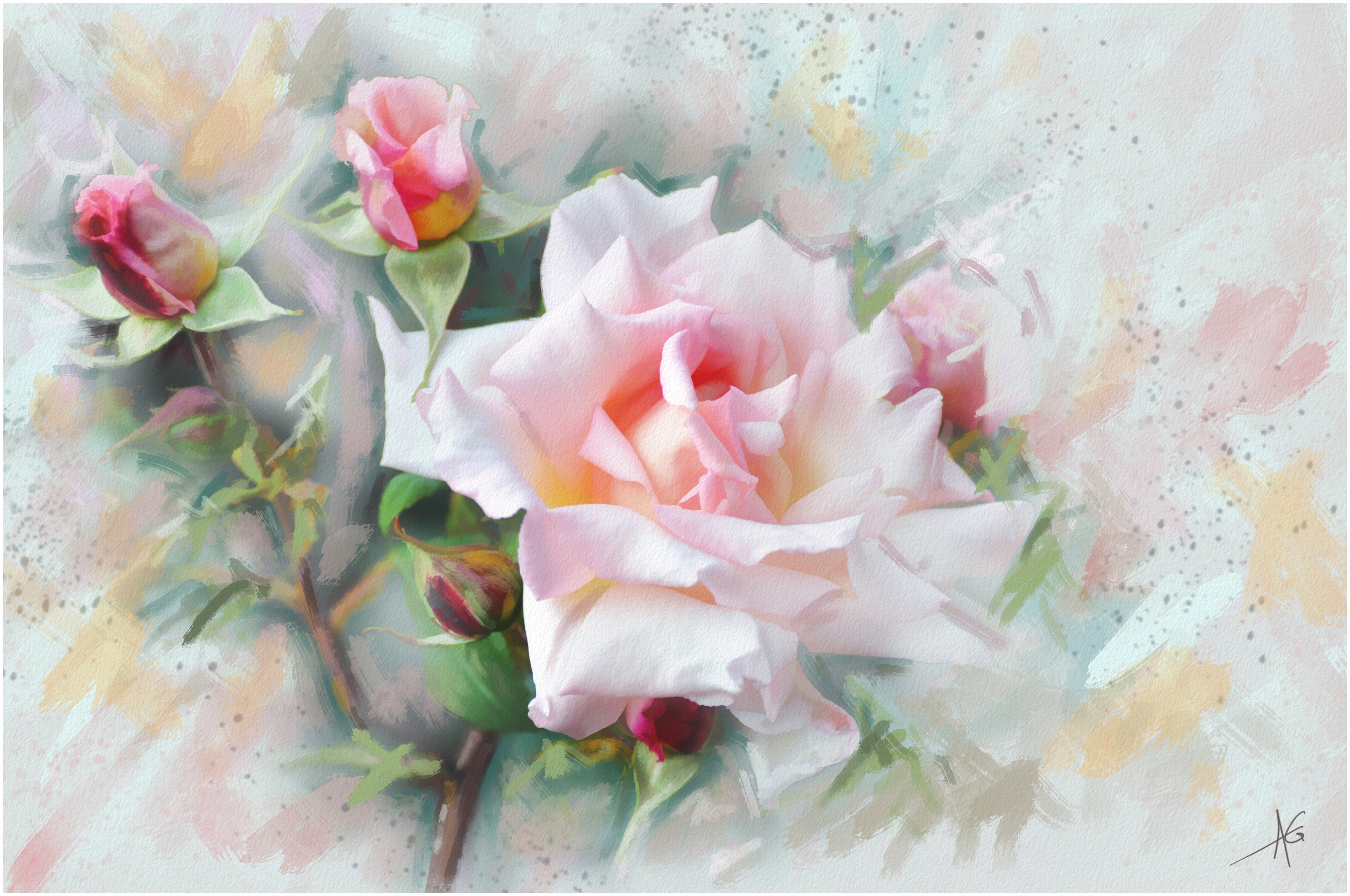 indoors, elegance, nature, softness, bunch of flowers, decoration, celebration, bouquet, pastel colors, from lolita777, peony, close-up, pink, HD Wallpaper