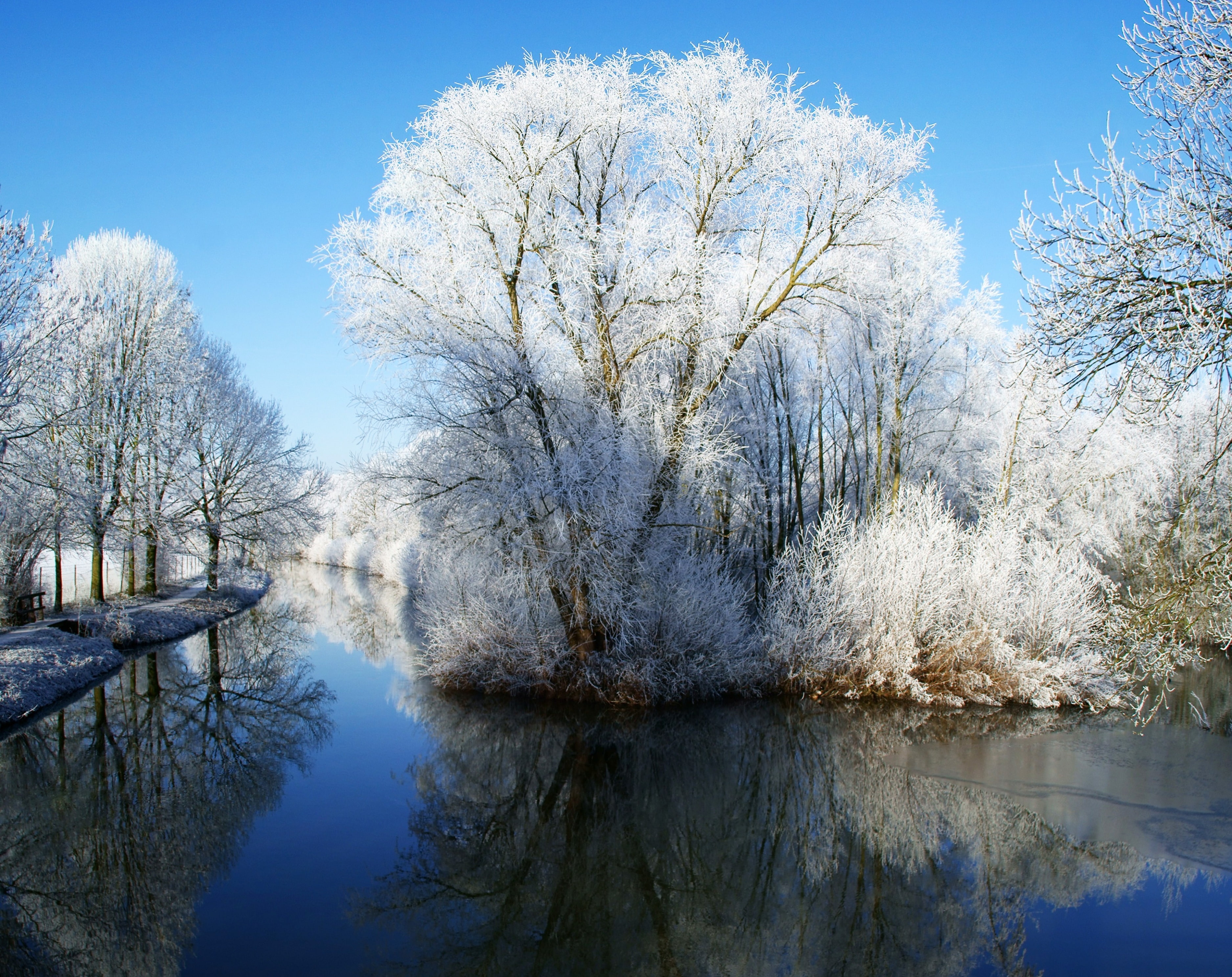 River, Quiet, Photography, Beauty, water, bare tree, Travel, Scene, day, flowering, Frost, wonderland, Europe, White Trees, plant, Holland, Beautiful, Peaceful, HD Wallpaper