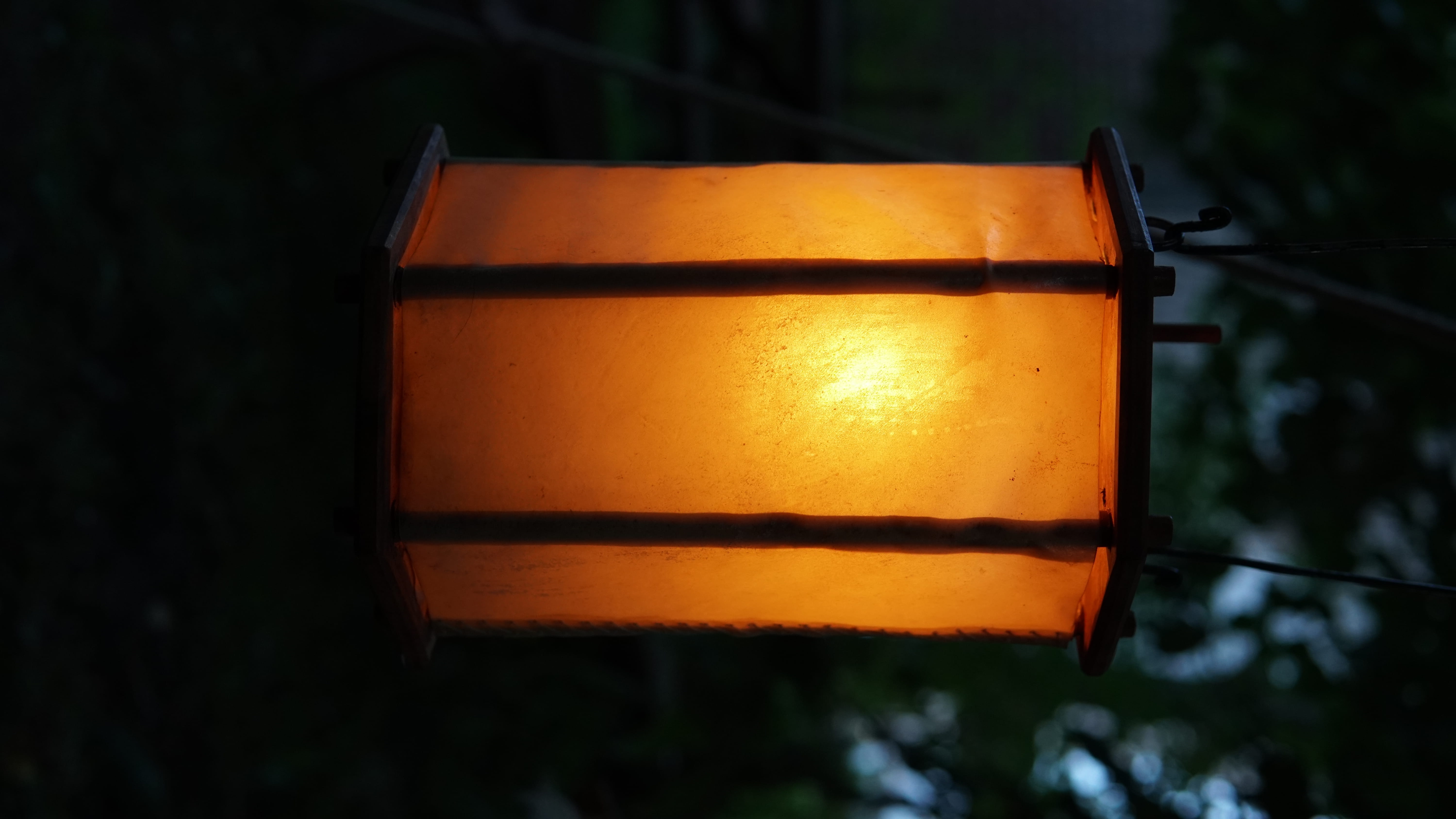 single object, hanging, copy space, 5K, archeon, nederland, glowing, nature, lighting equipment, no people, tree, glass, outdoors, plant, illuminated, HD Wallpaper