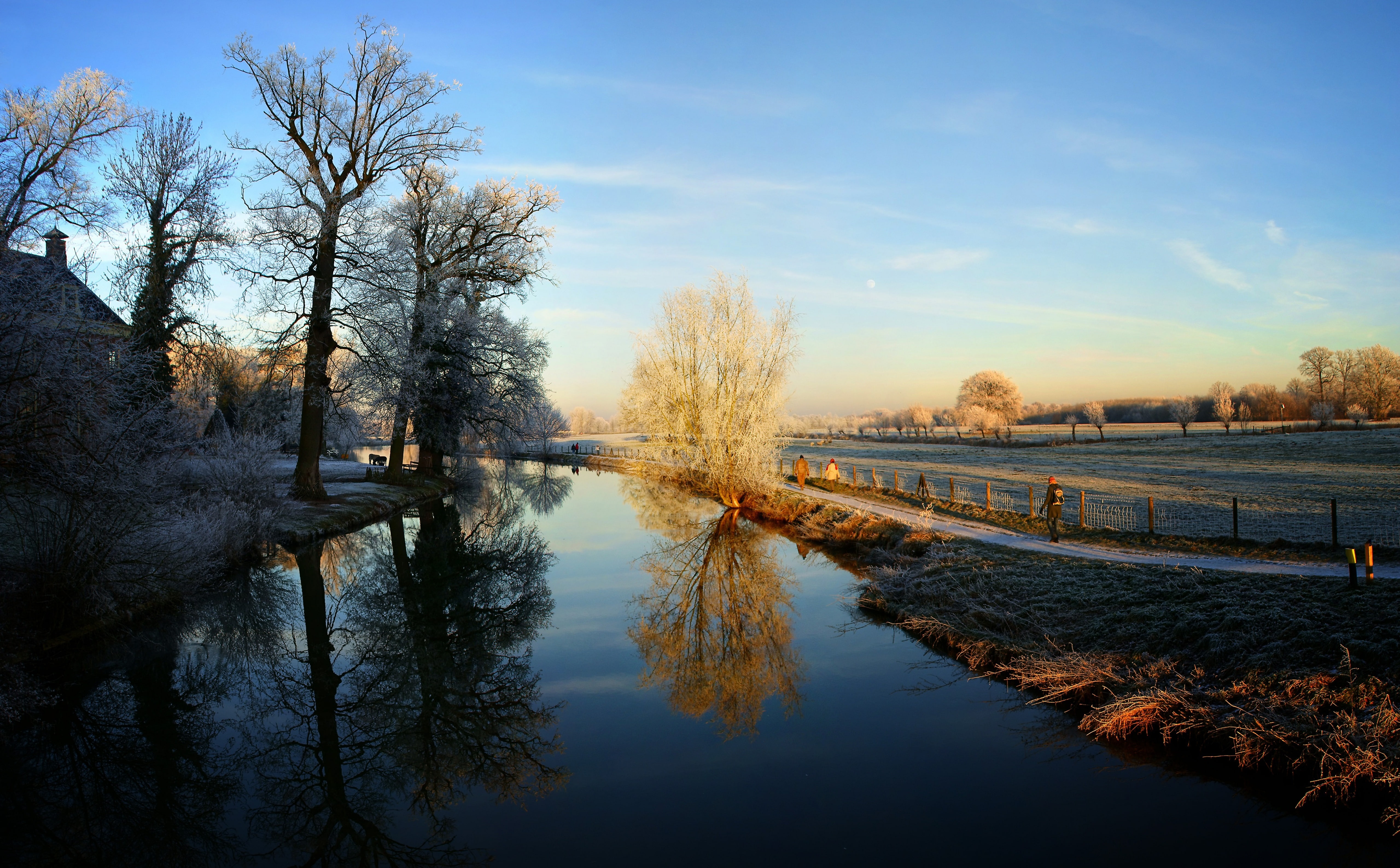 leafed, Landscape, sky, Reflections, beauty in nature, cloud - sky, Sunshine, Frosty, tree, Holland, White, tranquil scene, Trees, brown, Travel, winter wonderland, HD Wallpaper