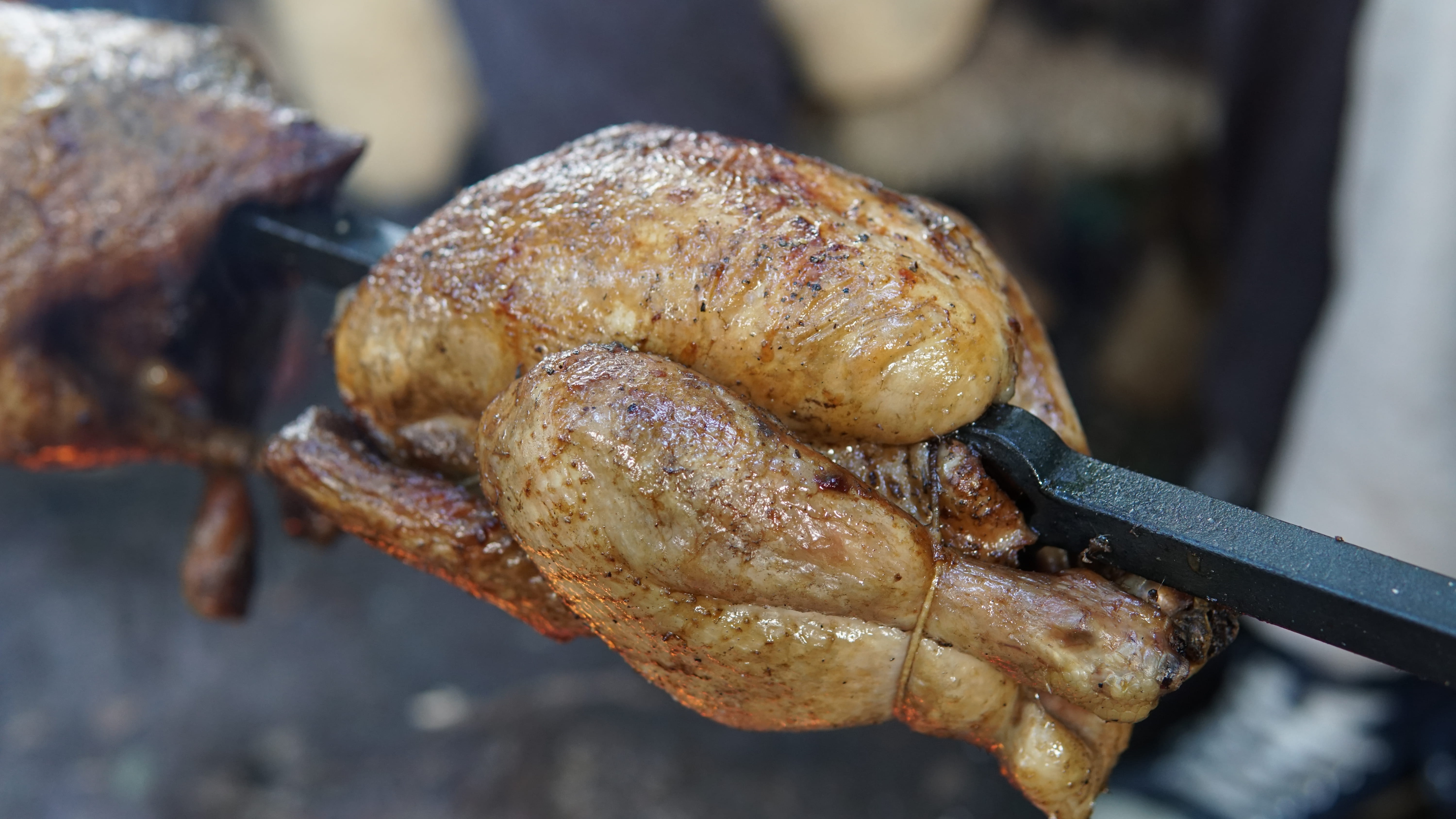 archeon, food, freshness, nederland, dutch oven, plant, bbq, close-up, 5K, food and drink, roasted, meat, still life, roast chicken, pot, dinner, slug, HD Wallpaper