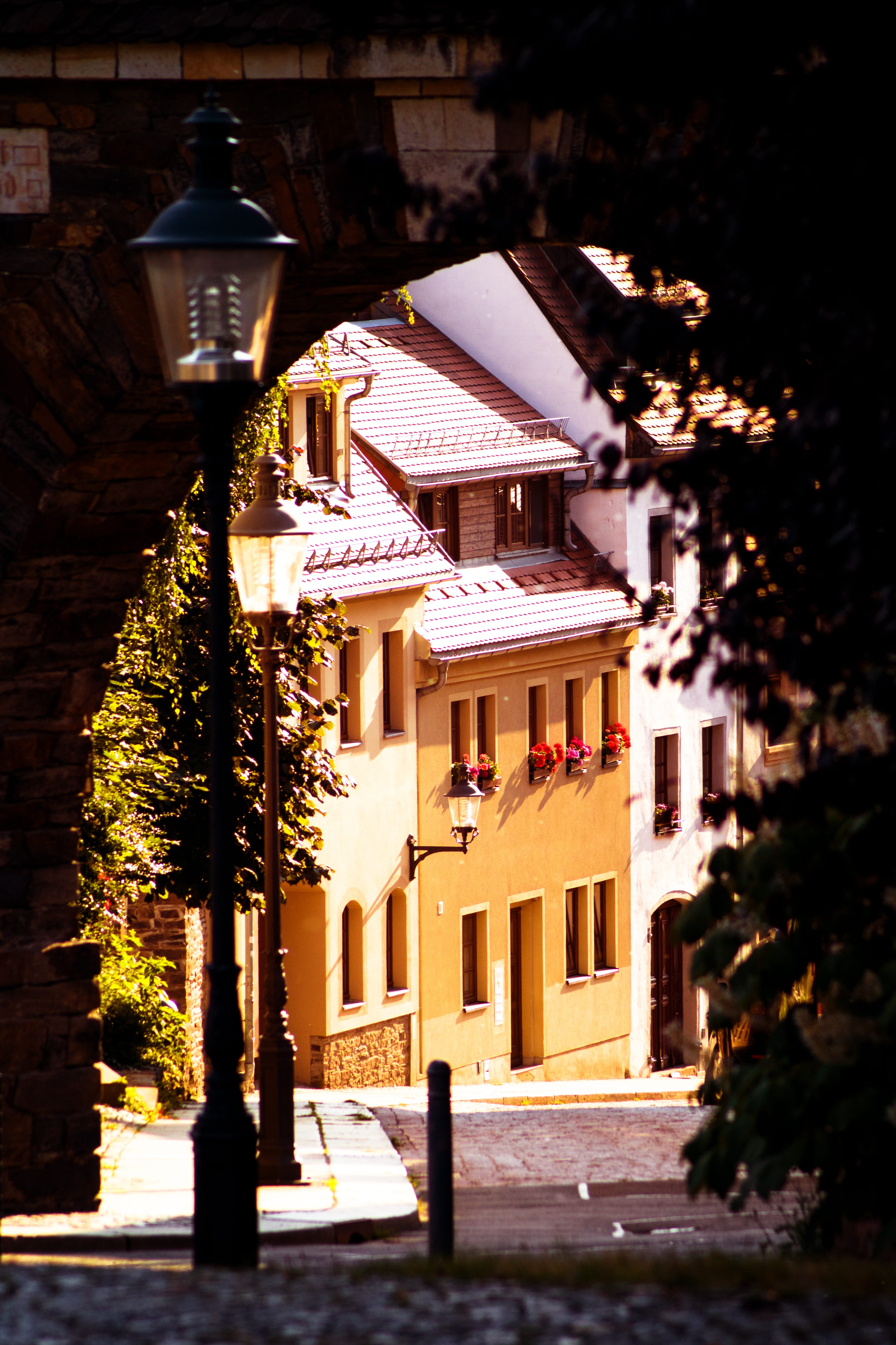 no people, middle ages, city, alley, lighting equipment, freiberg, east germany, 5K, street, saxony, sunlight, tourism, germany, mood, house, tree, residential district, Phone HD Wallpaper