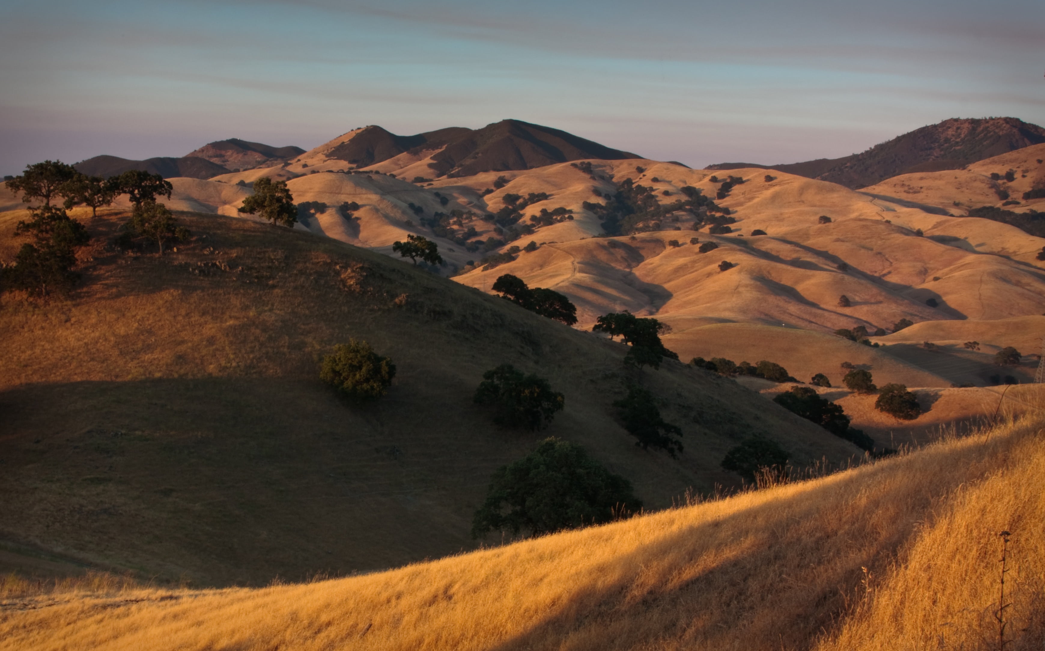 mountain range, idyllic, castle rock state park, horizon, tree, scenery, rural Scene, nature, scenics - nature, dusk, oak, beauty in nature, arid climate, HD Wallpaper
