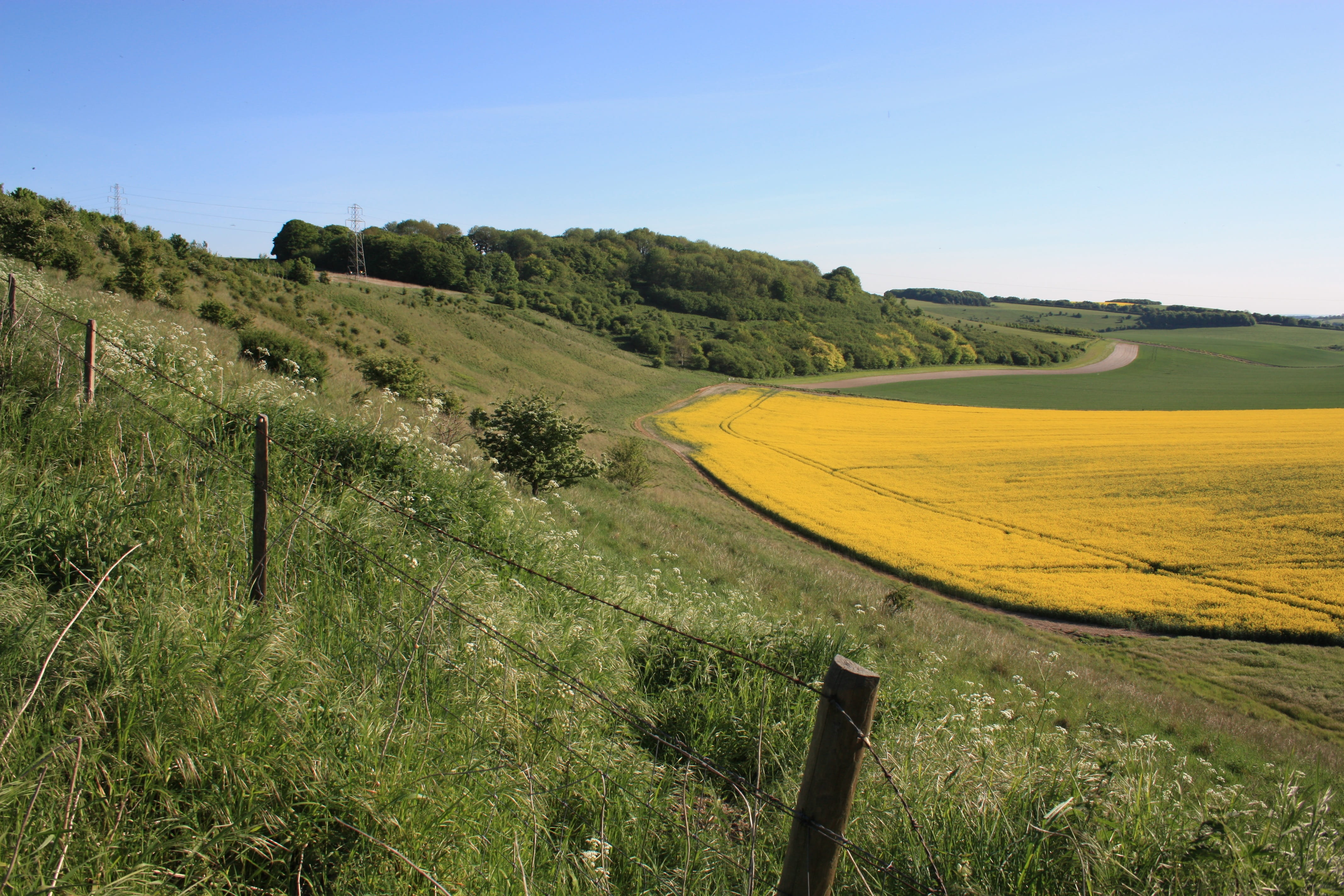 sky, grass, rural, hillside, Land, tranquil scene, tranquility, britain, Oilseed, agriculture, horizon over land, Rape, rural scene, Down, blue, cloud, HD Wallpaper