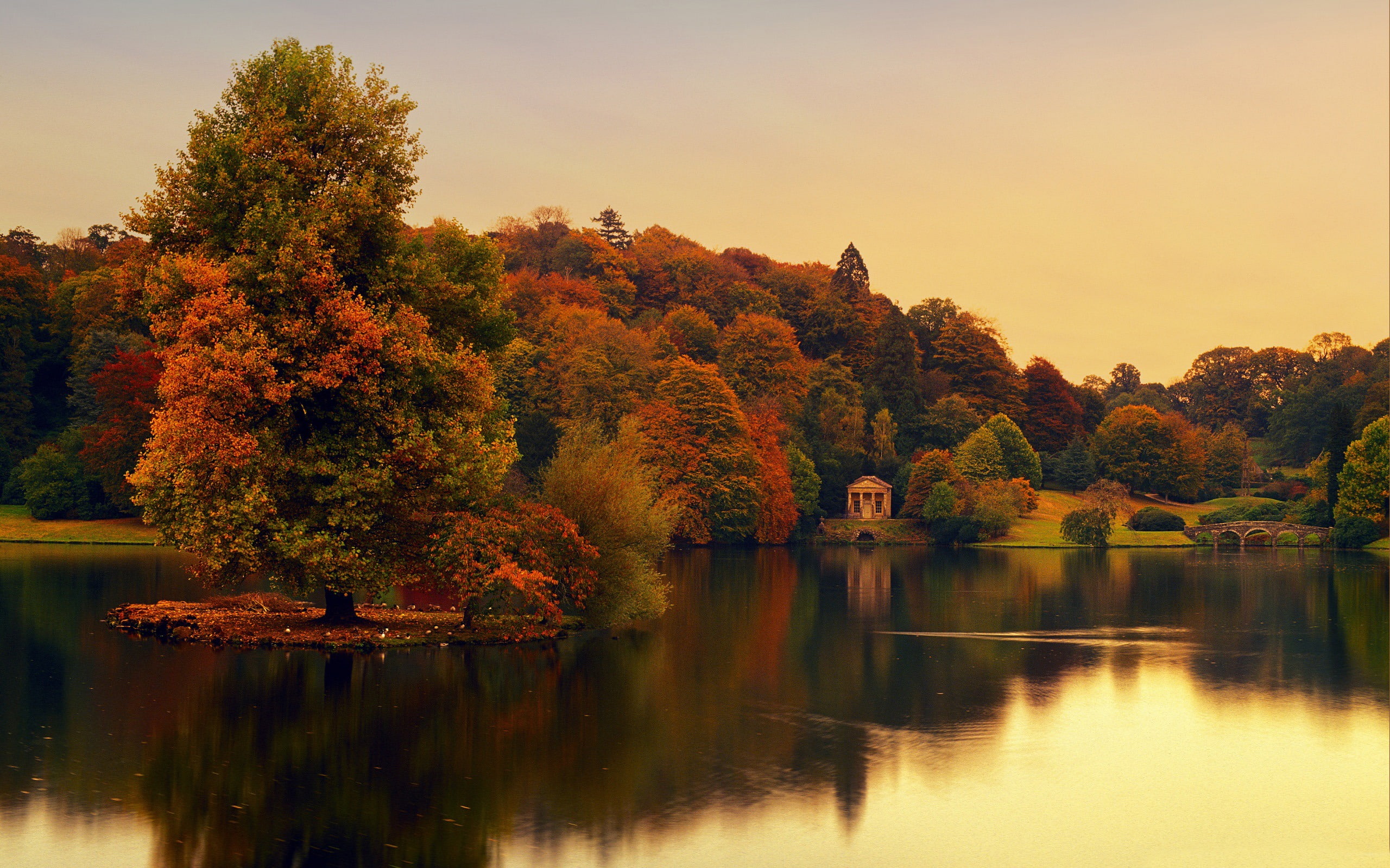 beauty in nature, sunset, surrounded, reflection, 2K, stourhead, wiltshire, trees, outdoors, nature, autumn, growth, scenics - nature, tree, HD Wallpaper