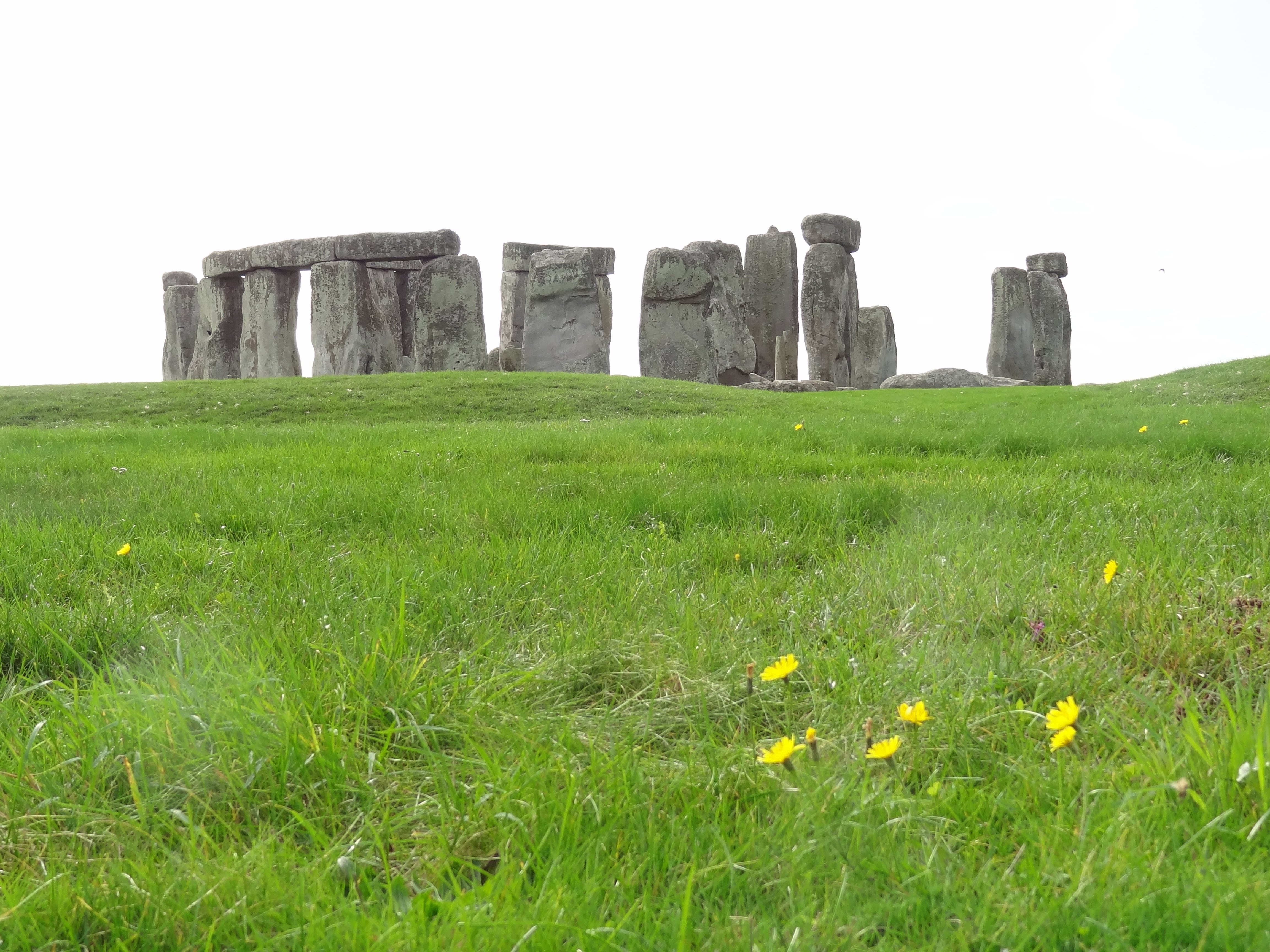 tranquil scene, plant, old ruin, growth, outdoors, flower, memorial, wiltshire, famous Place, field, land, built structure, sky, day, architecture, stone monument, HD Wallpaper
