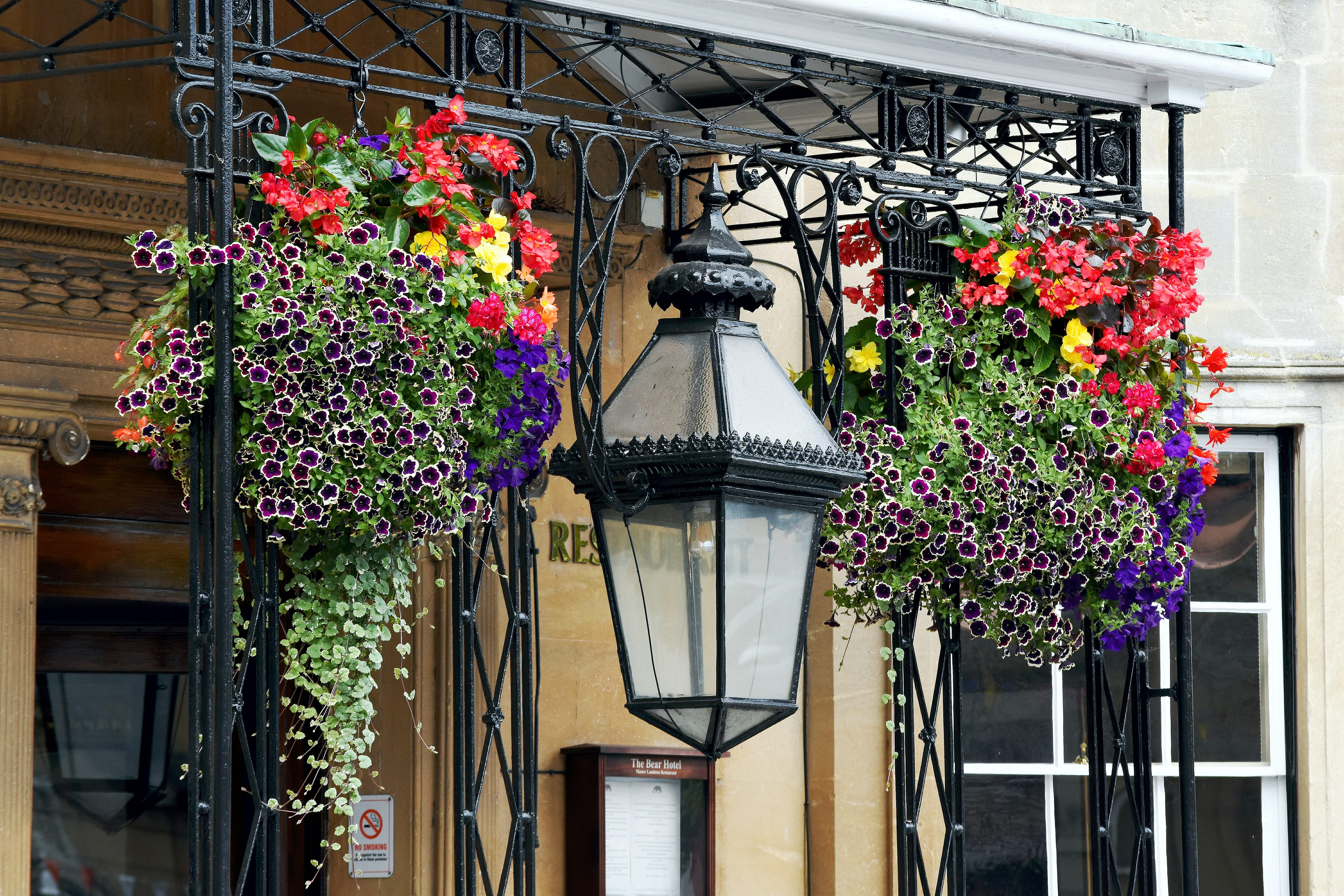 flower pot, decoration, 5K, window, ornamental, beauty in nature, nature, vulnerability, wiltshire, no people, growth, flower arrangement, architecture, HD Wallpaper