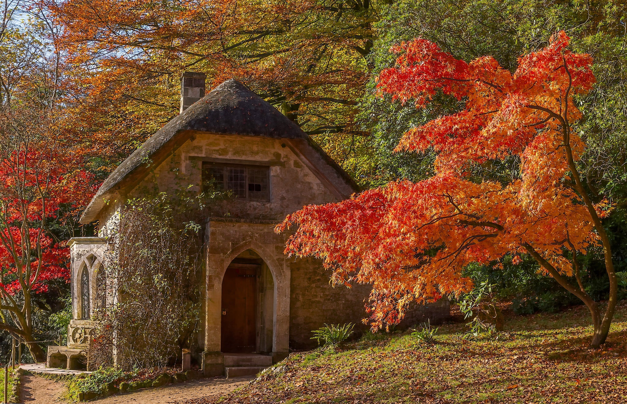 building exterior, Park, gray, 1080P, growth, house, England, maple, built structure, architecture, Wiltshire, non-urban scene, no people, nature, orange color, HD Wallpaper