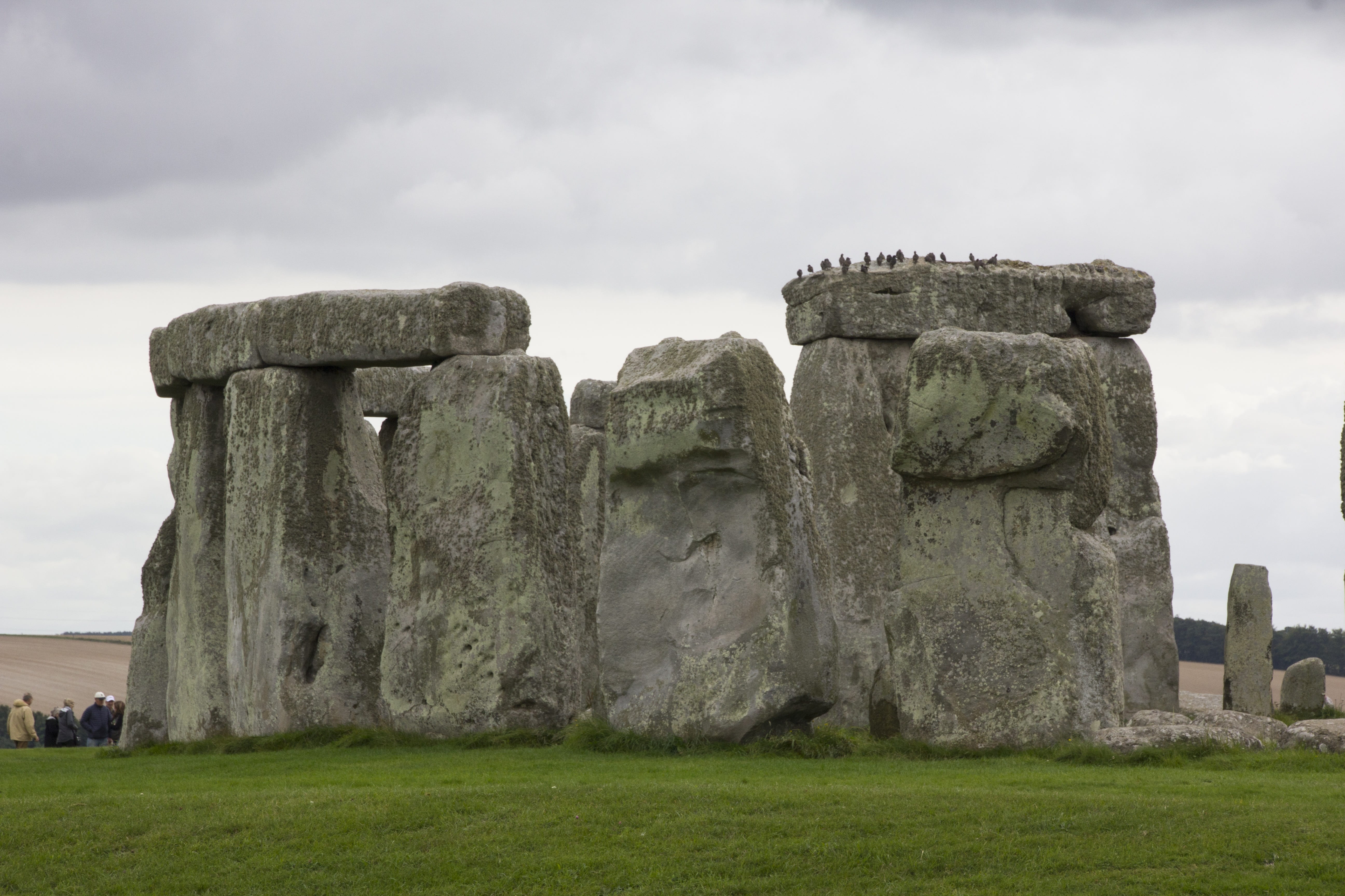 stones, architecture, ireland, grass, landscape, built structure, cloud - sky, memorial, stone material, ancient civilization, outdoors, stonehenge, 5K, HD Wallpaper