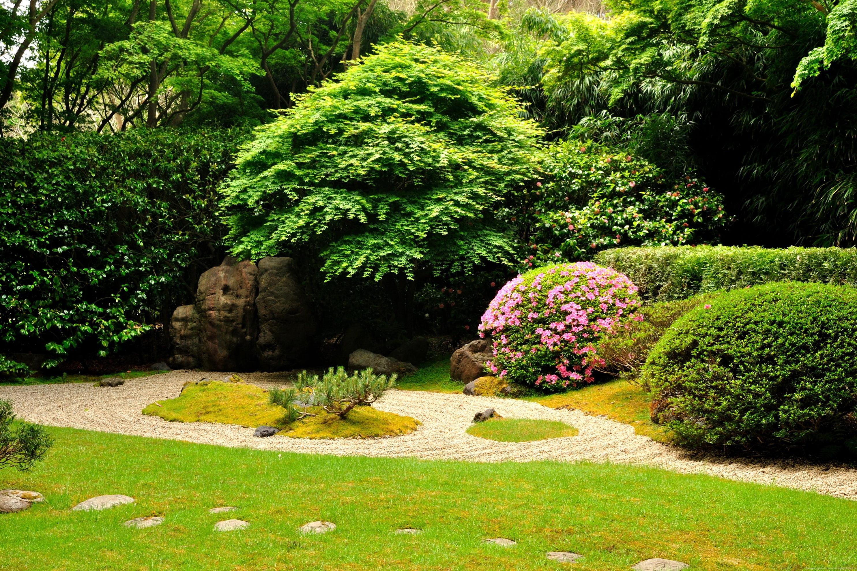 beauty In Nature, 2K, outdoors, ornamental Garden, footpath, flowers, tree, tranquility, stone Material, green Color, flowering plant, lawn, park, flowerbed, HD Wallpaper