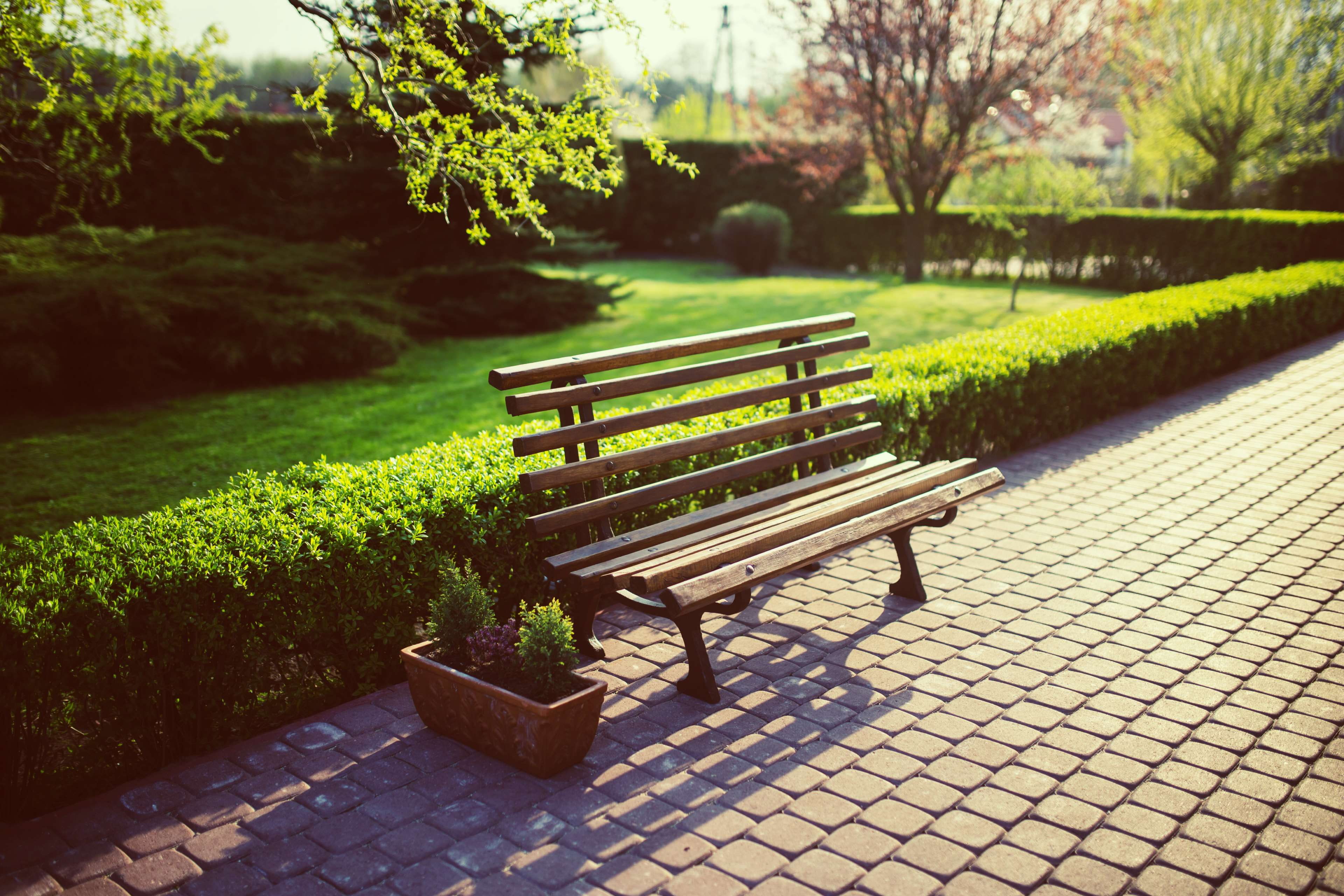 park - man made space, empty, wooden, park, landscape, guidance, tranquility, backyard, flora, path, grass, nature, seat, green color, tree, garden, flower, HD Wallpaper