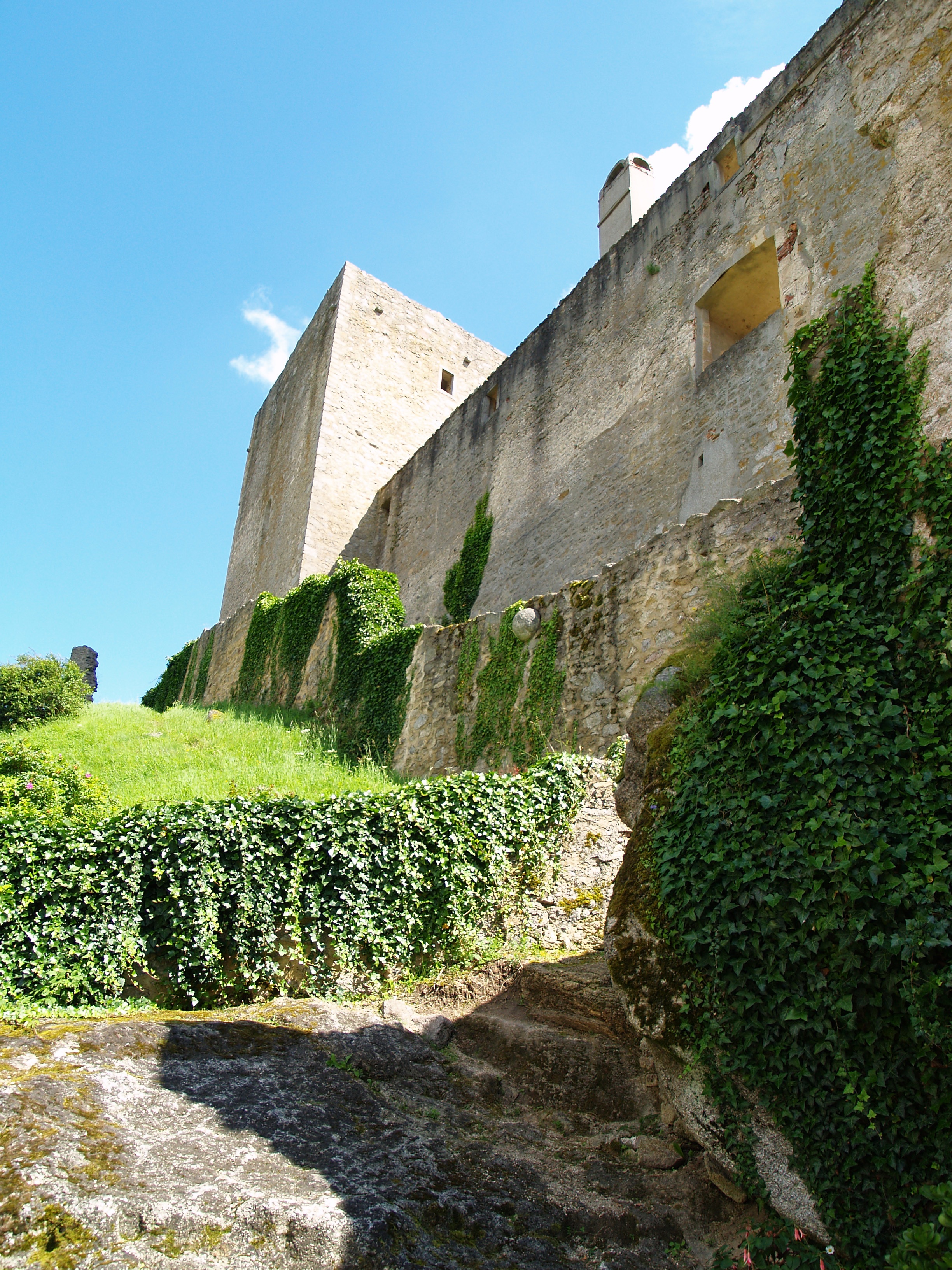 growth, architecture, fort, outdoors, clear sky, romanesque style, building exterior, plant, sky, 2K, monument, the past, no people, built structure, hedge, Phone HD Wallpaper