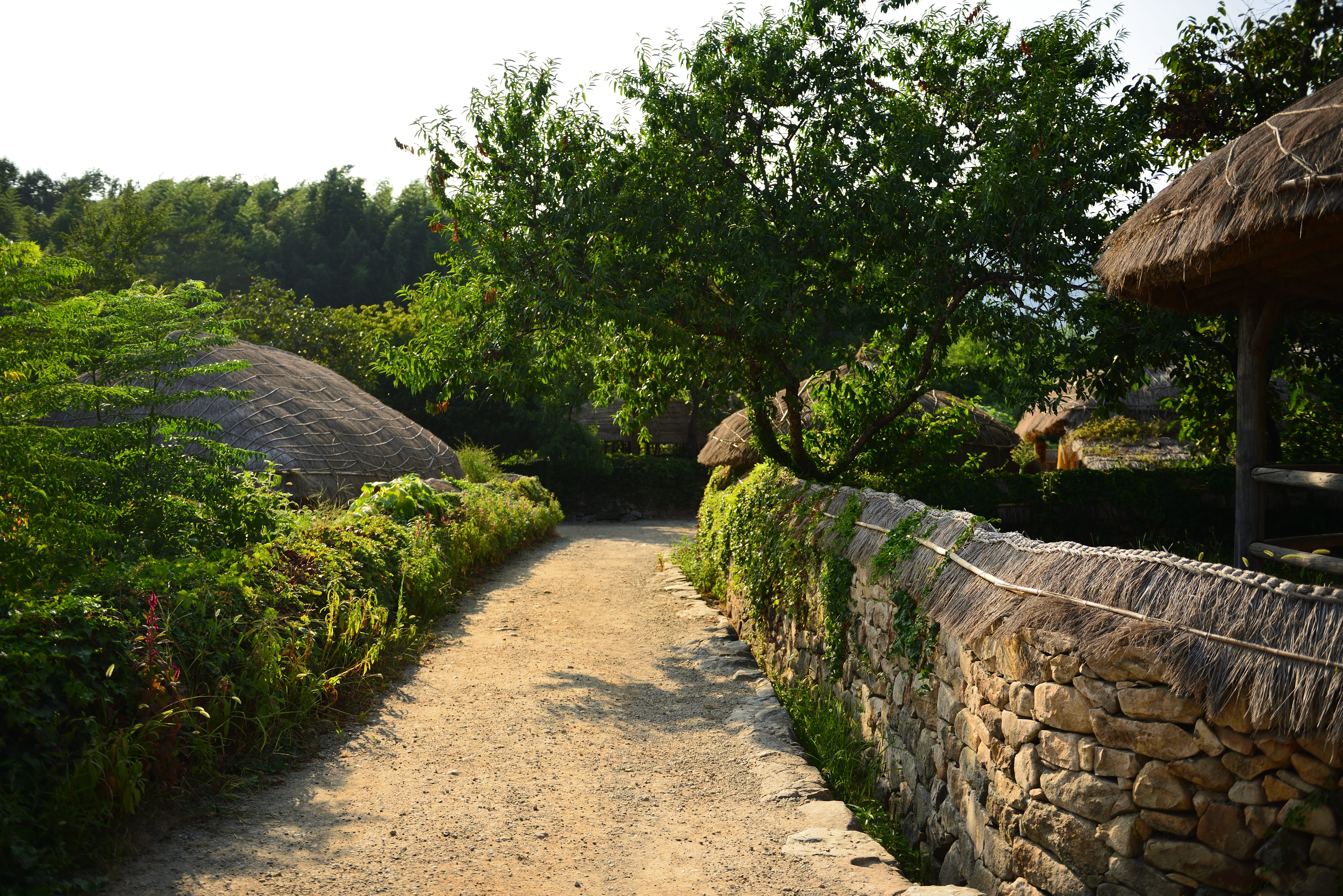 growth, Naganeupseong, no people, pumpkin, single lane road, Home, formal garden, tranquility, stone wall, outdoors, tree, stone will, thatch roofed hose, HD Wallpaper