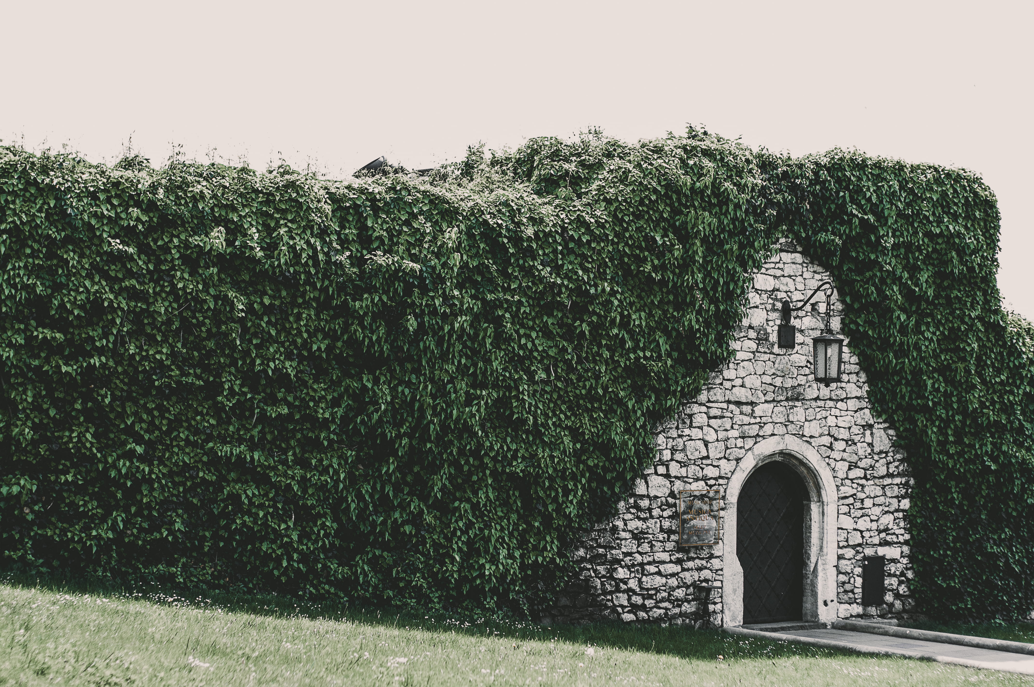 bush, flora, built structure, arch, lantern, green grass, rock, tree, architecture, day, architectural, park, history, doorway, summer, building exterior, HD Wallpaper