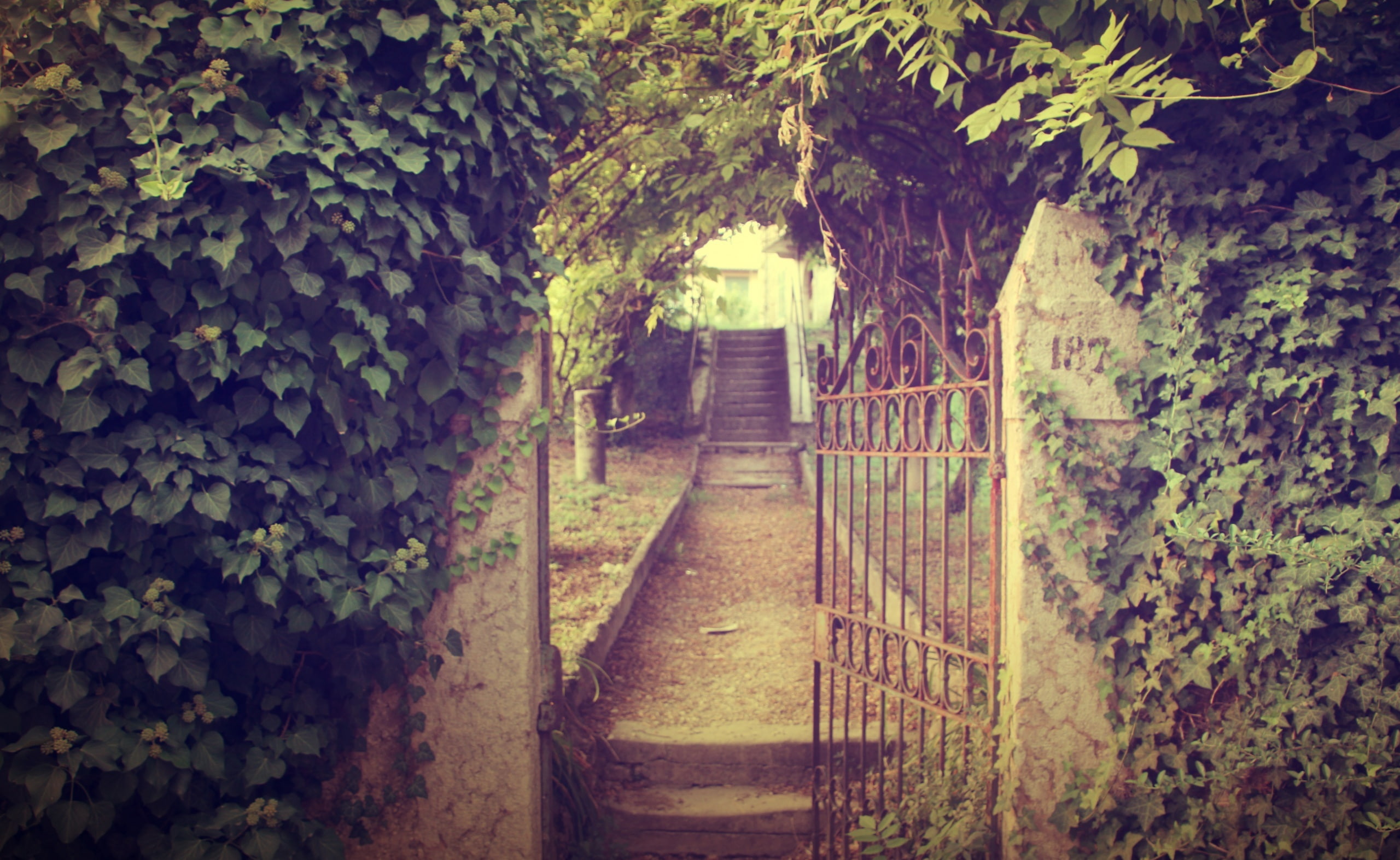 leaf, metal, footpath, wall, Gate, hedge, built structure, Vintage, wall - building feature, beauty in nature, direction, no people, stone wall, plant, HD Wallpaper