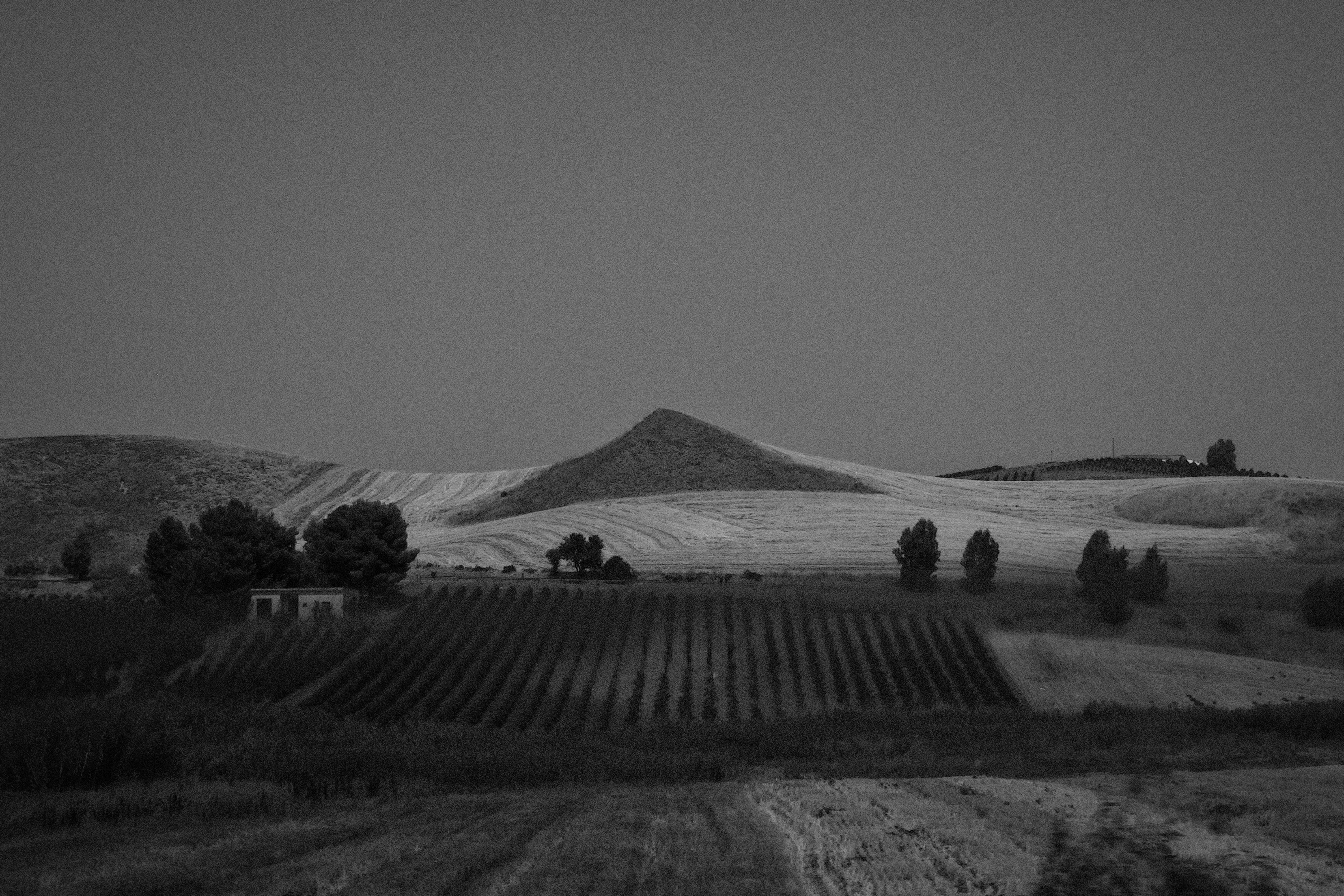 tranquil scene, monochrome, clear sky, copy space, shadows, sicily, agrigento, field, italy, land, no people, 5K, beauty in nature, plant, landscape, day, HD Wallpaper