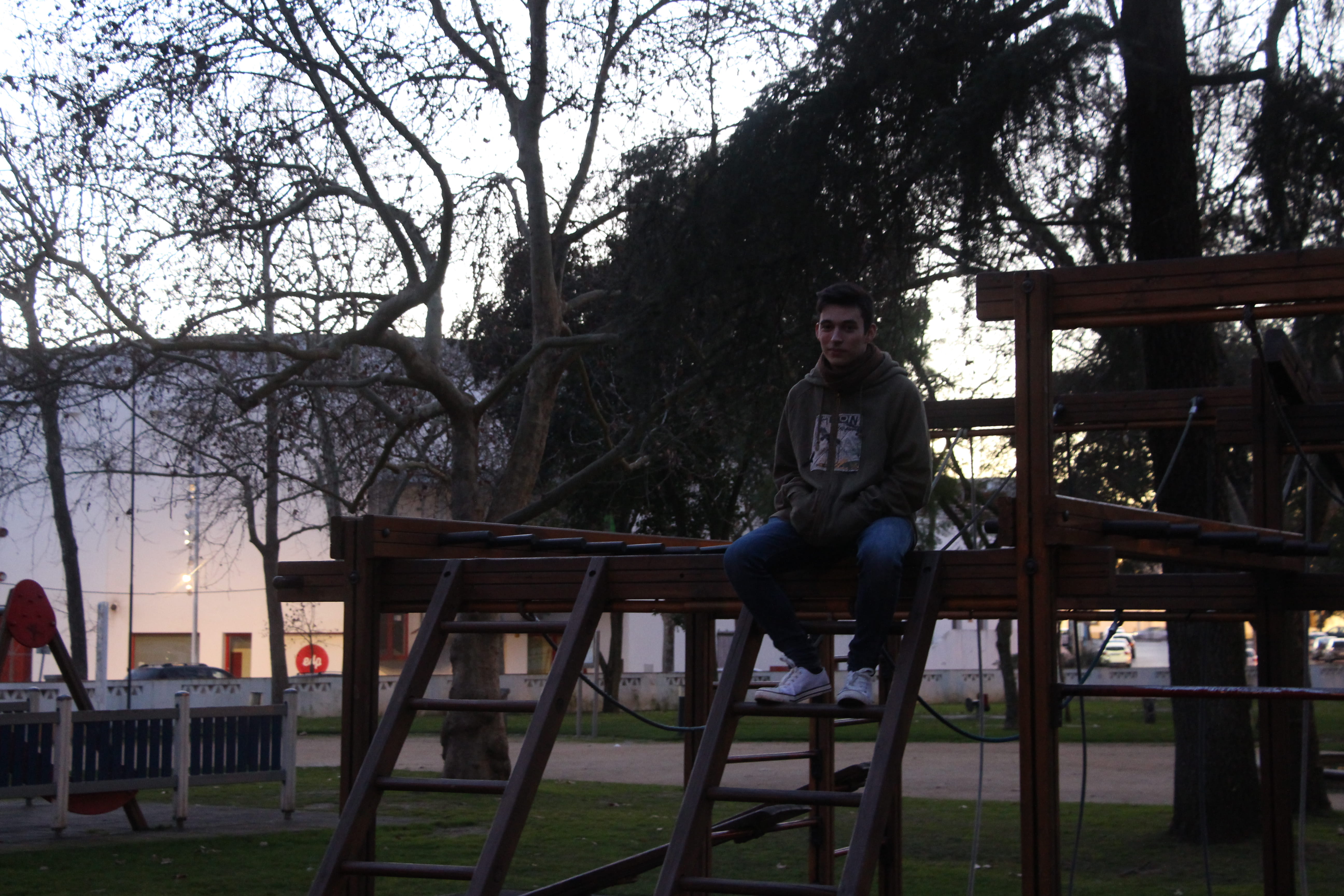 portugal, sitting, bare tree, park, bench, seat, nature, 5K, tree, plant, full length, real people, casual clothing, day, front view, contemplation, évora, HD Wallpaper