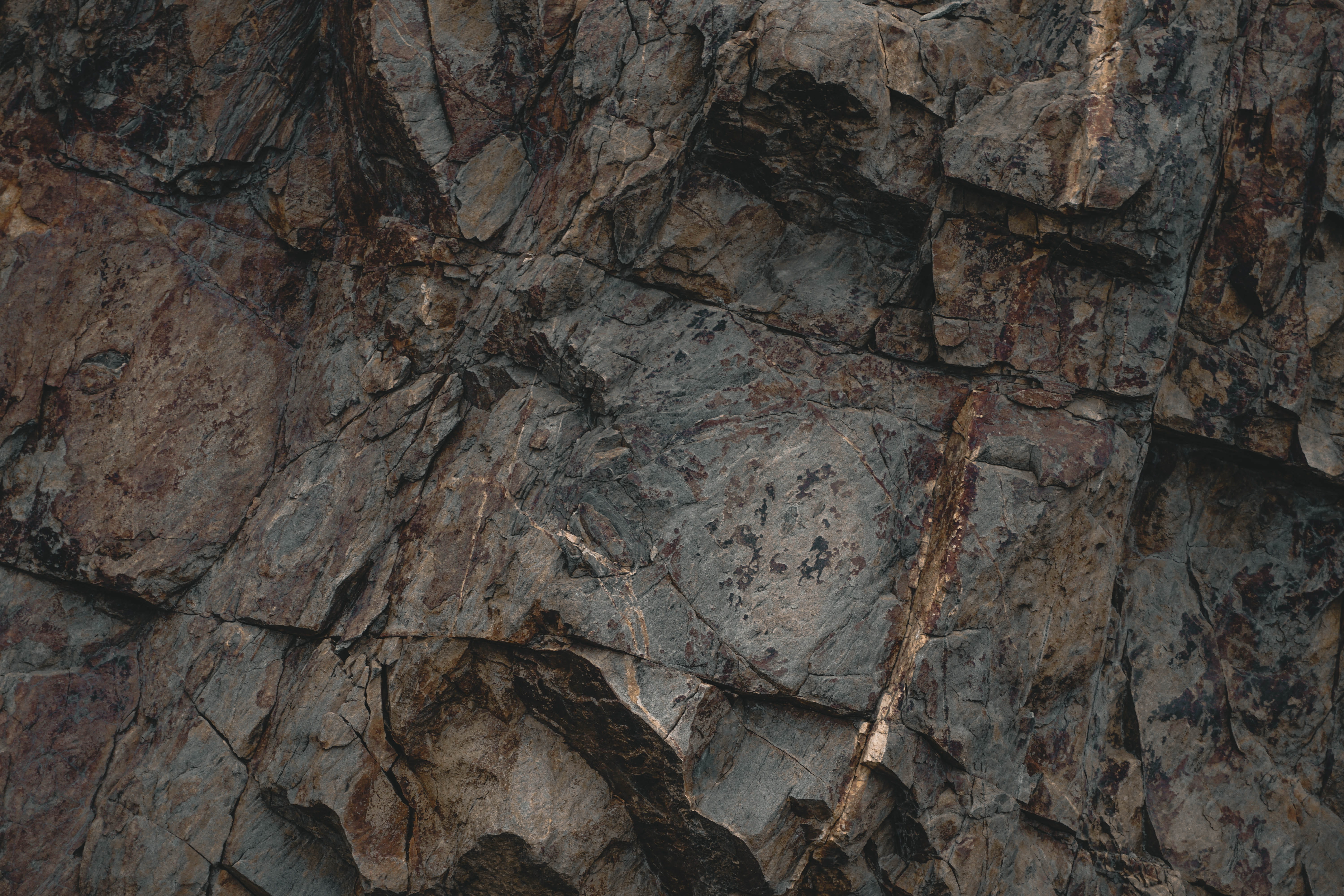solid, plant, rock, rock - object, tree, tree trunk, nature, soil, day, close-up, slate, water, backgrounds, tower, trunk, no people, mesa, natural pattern, HD Wallpaper
