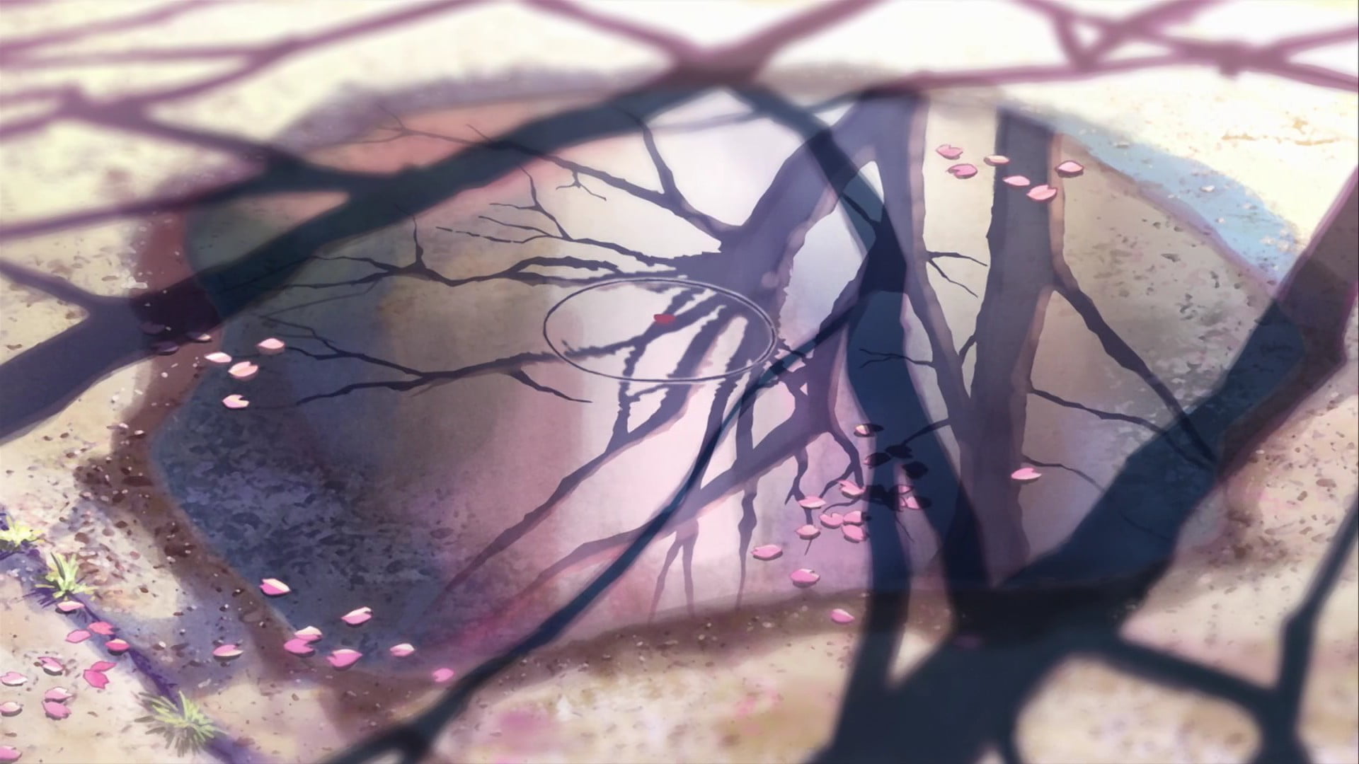 transportation, brown, nature, day, illustration, pink color, shadow, anime, bicycle, flower, water, flowering plant, no people, graffiti, sunlight, wall - building feature, HD Wallpaper
