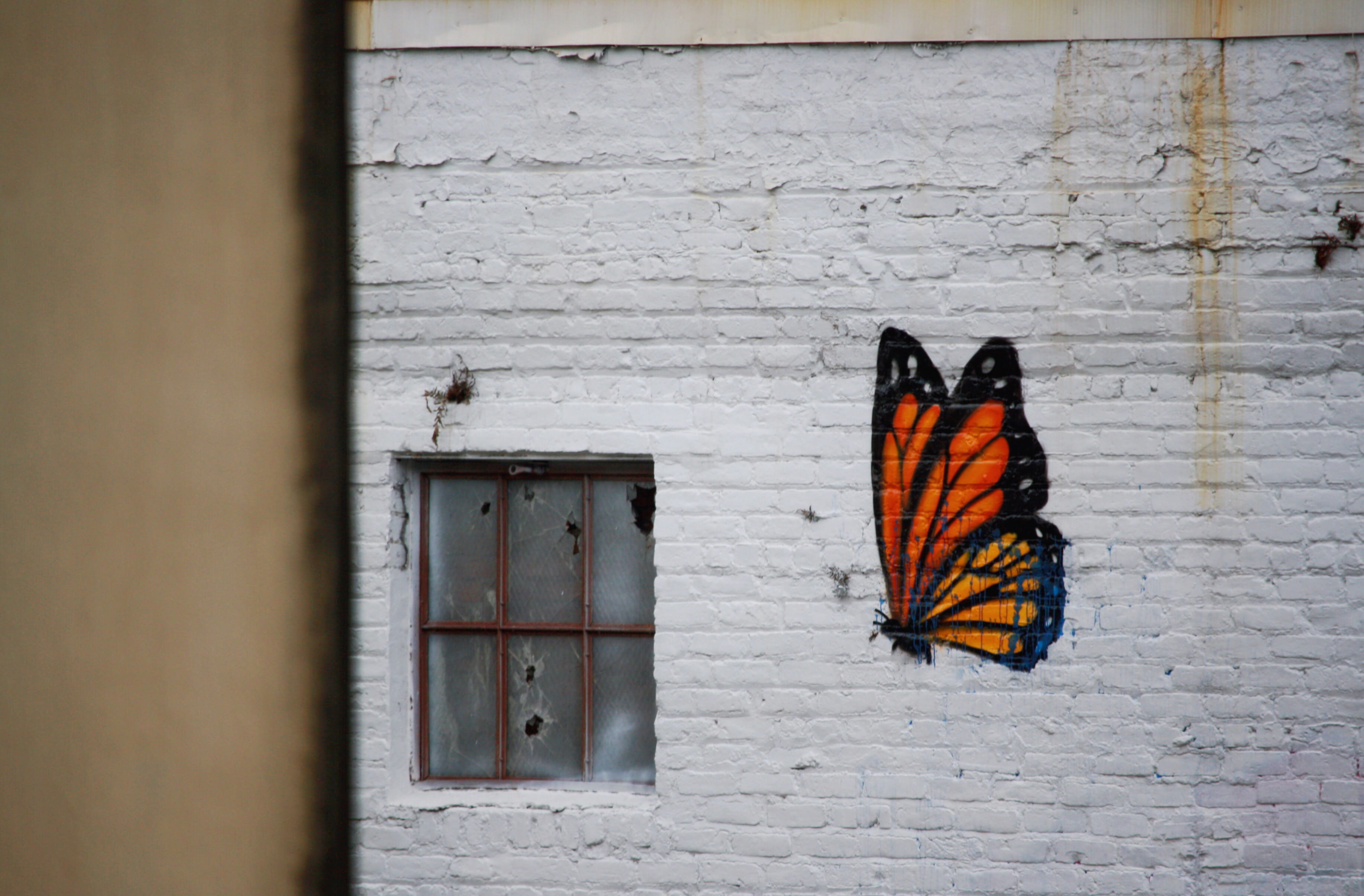 2K, shatter, butterfly - insect, one animal, street art, orange color, nola, shattered, wall, orange, black, no people, invertebrate, white, animal, building, HD Wallpaper