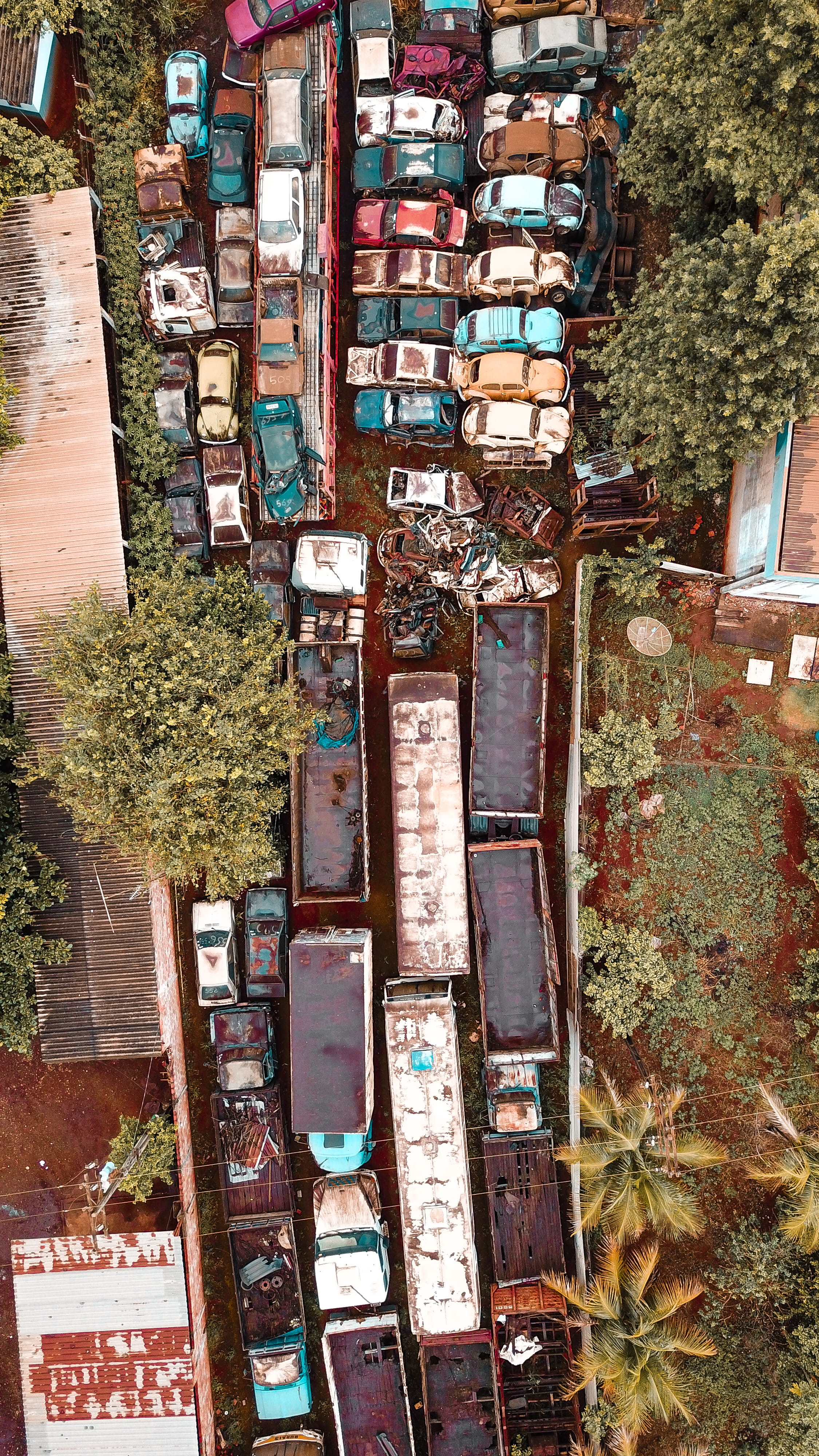 no people, window, photography, urban, aerial, wall, neighborhood, graffiti, ivy, building, obsolete, damaged, grass, plant, roof, human, old, city, rust, Phone HD Wallpaper